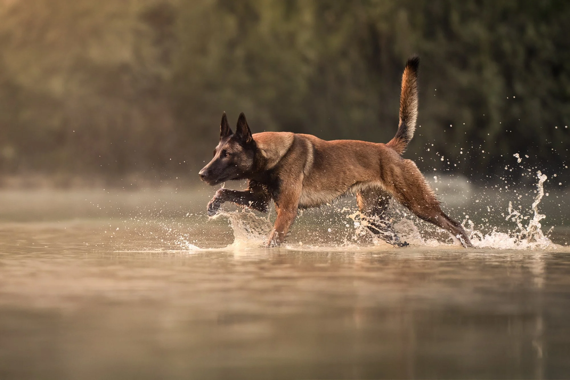 Nika Kuplenk Photoart - Najlepše fotografije-1.jpg