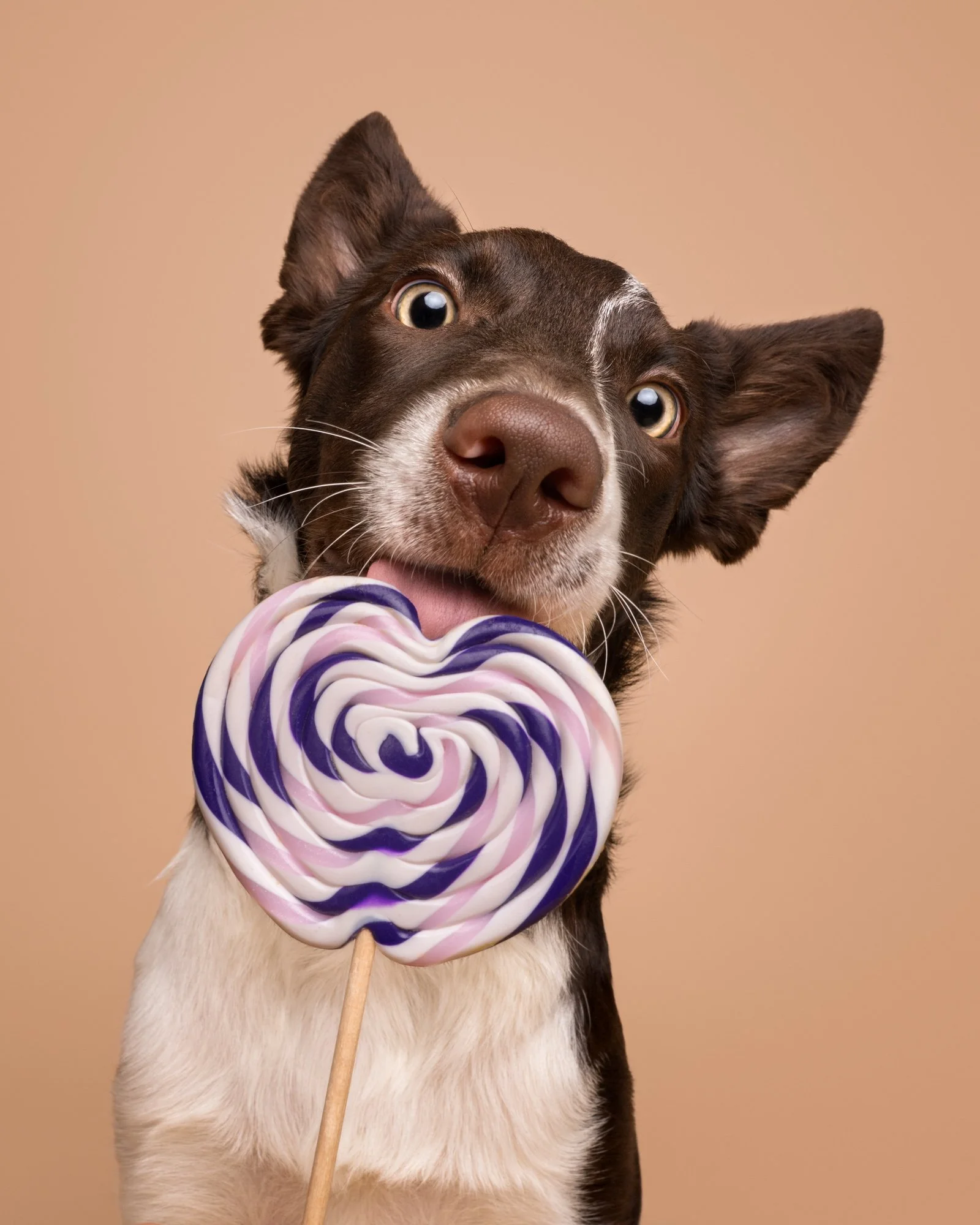 Nika Kuplenk Photoart - Najlepše fotografije-28.jpg