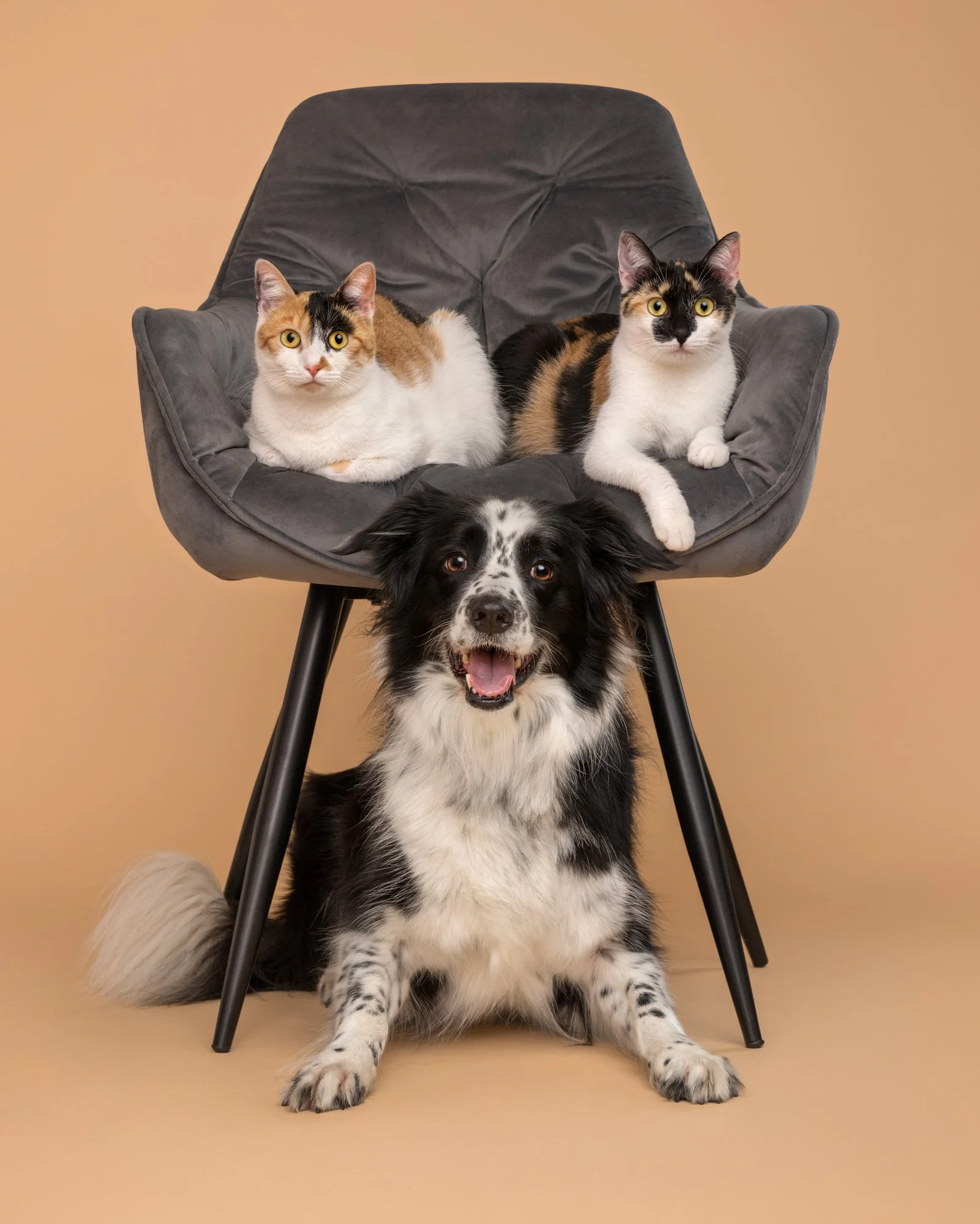 Nika Kuplenk Photoart - Najlepše fotografije-15.jpg