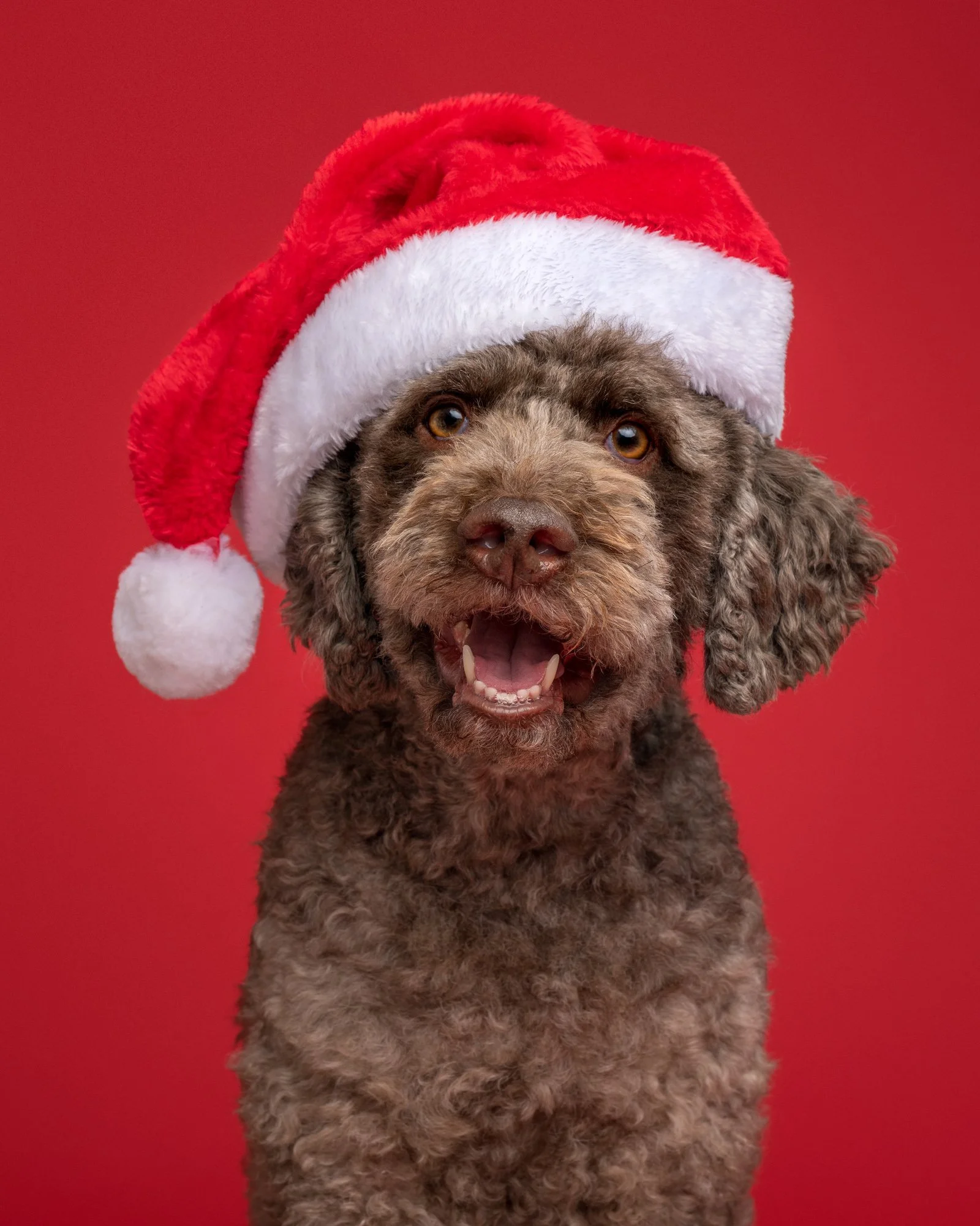 Nika Kuplenk Photoart - Najlepše fotografije-35.jpg