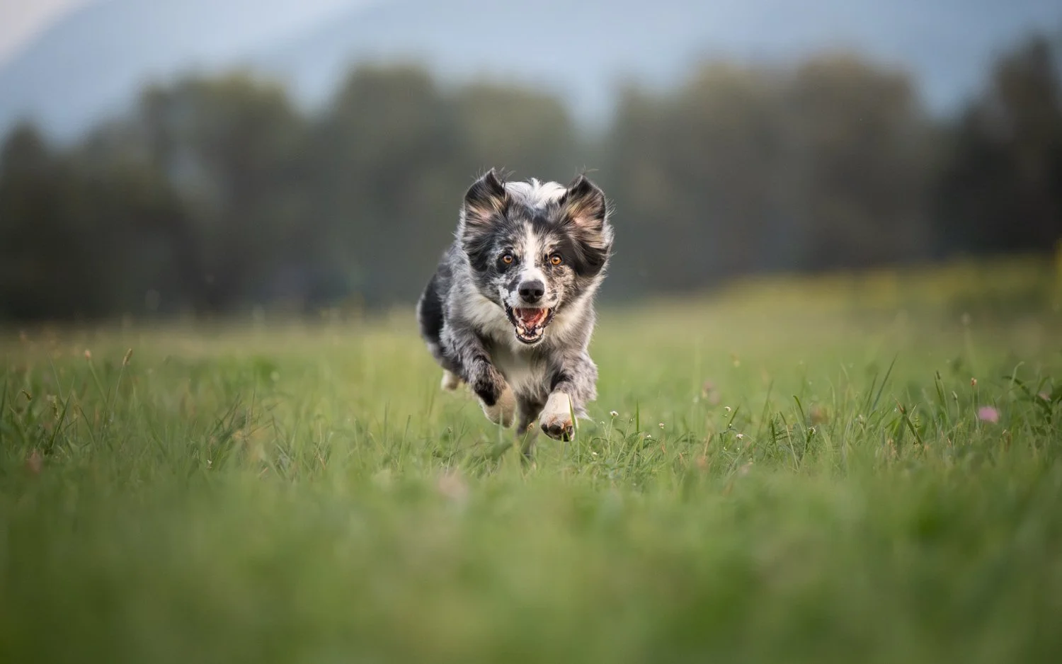 NKP - LR tecaj-3.jpg