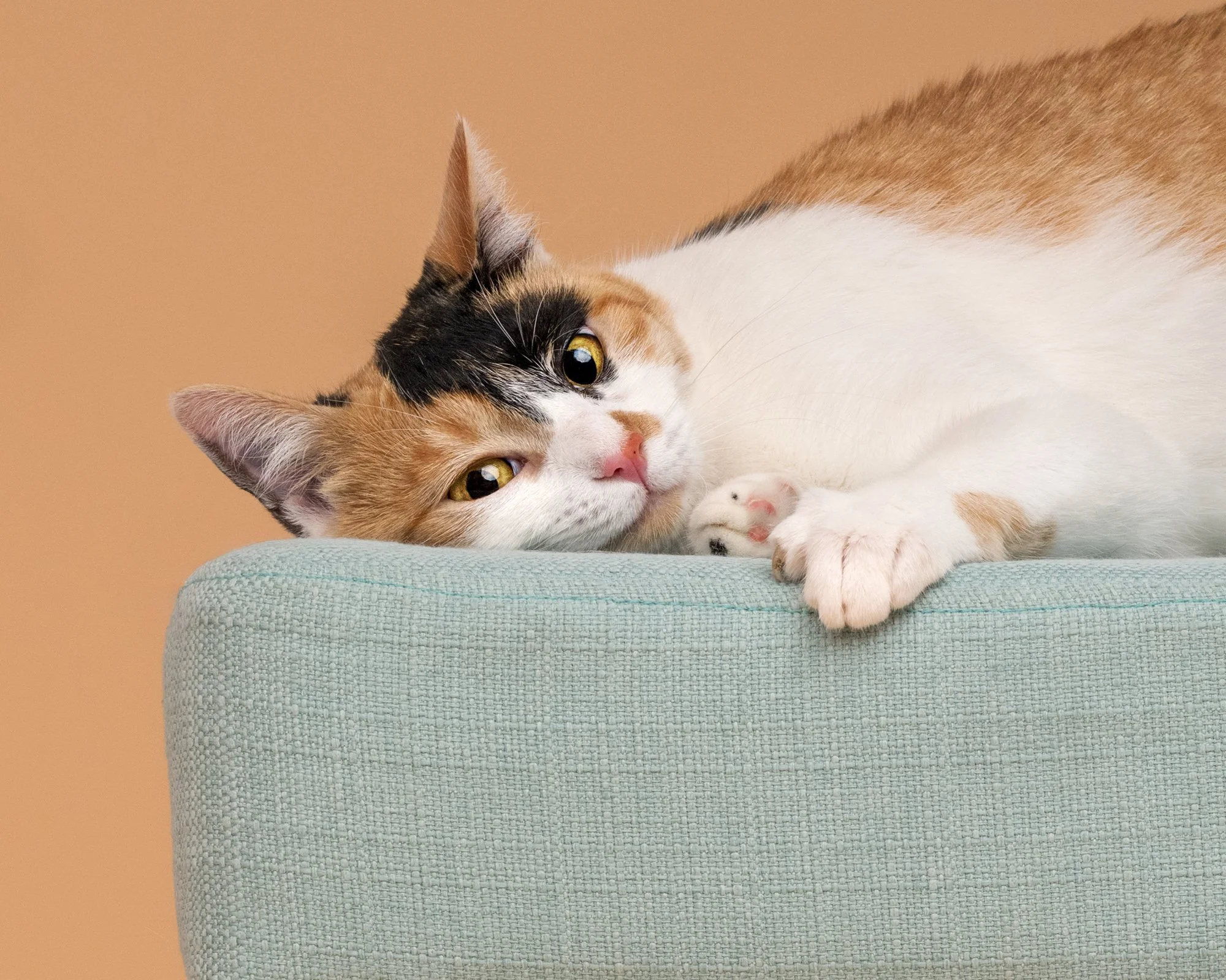 Nika Kuplenk Photoart - Najlepše fotografije-10.jpg