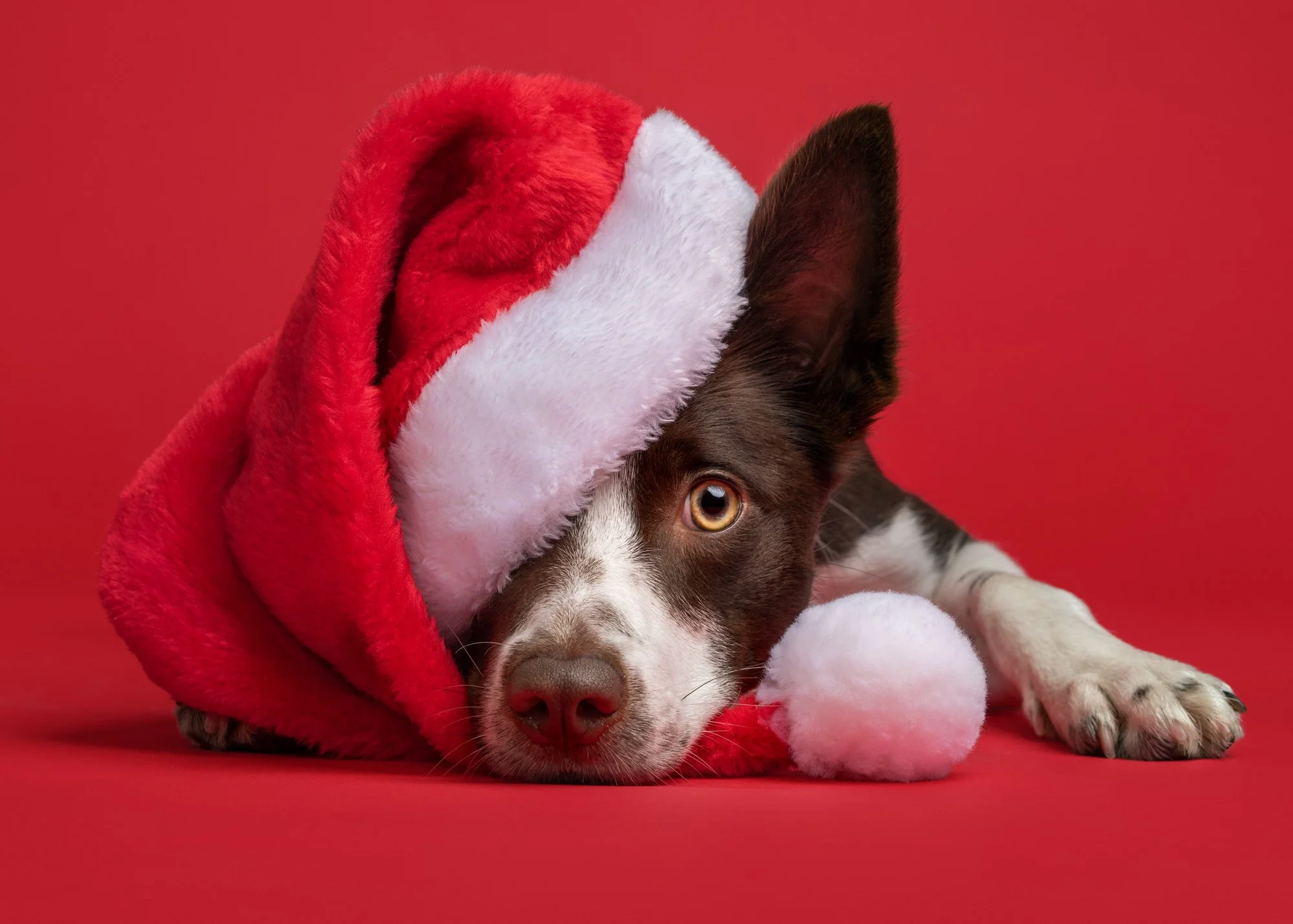 Nika Kuplenk Photoart - Najlepše fotografije-32.jpg