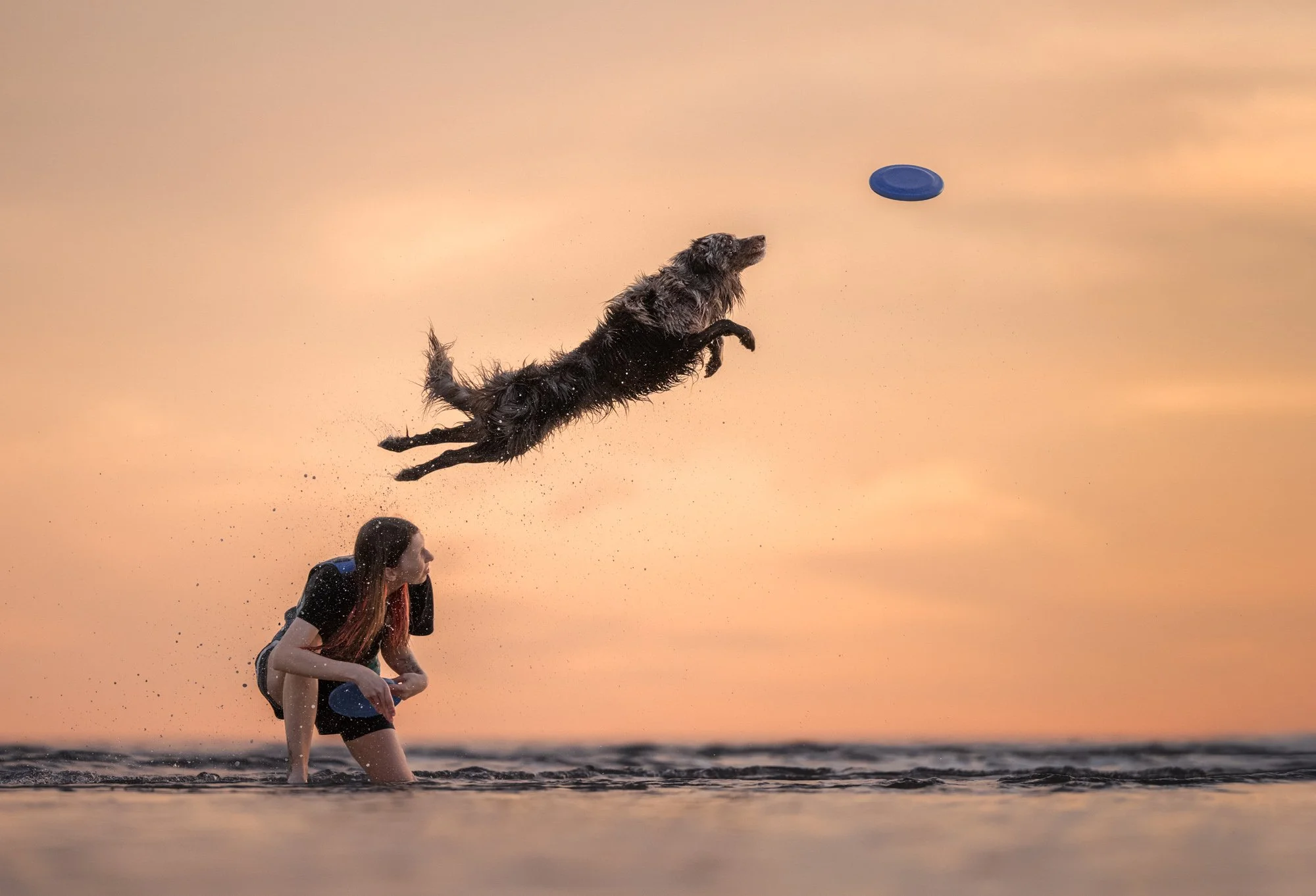 Nika Kuplenk Photography - fotografiranje dresurnega treninga