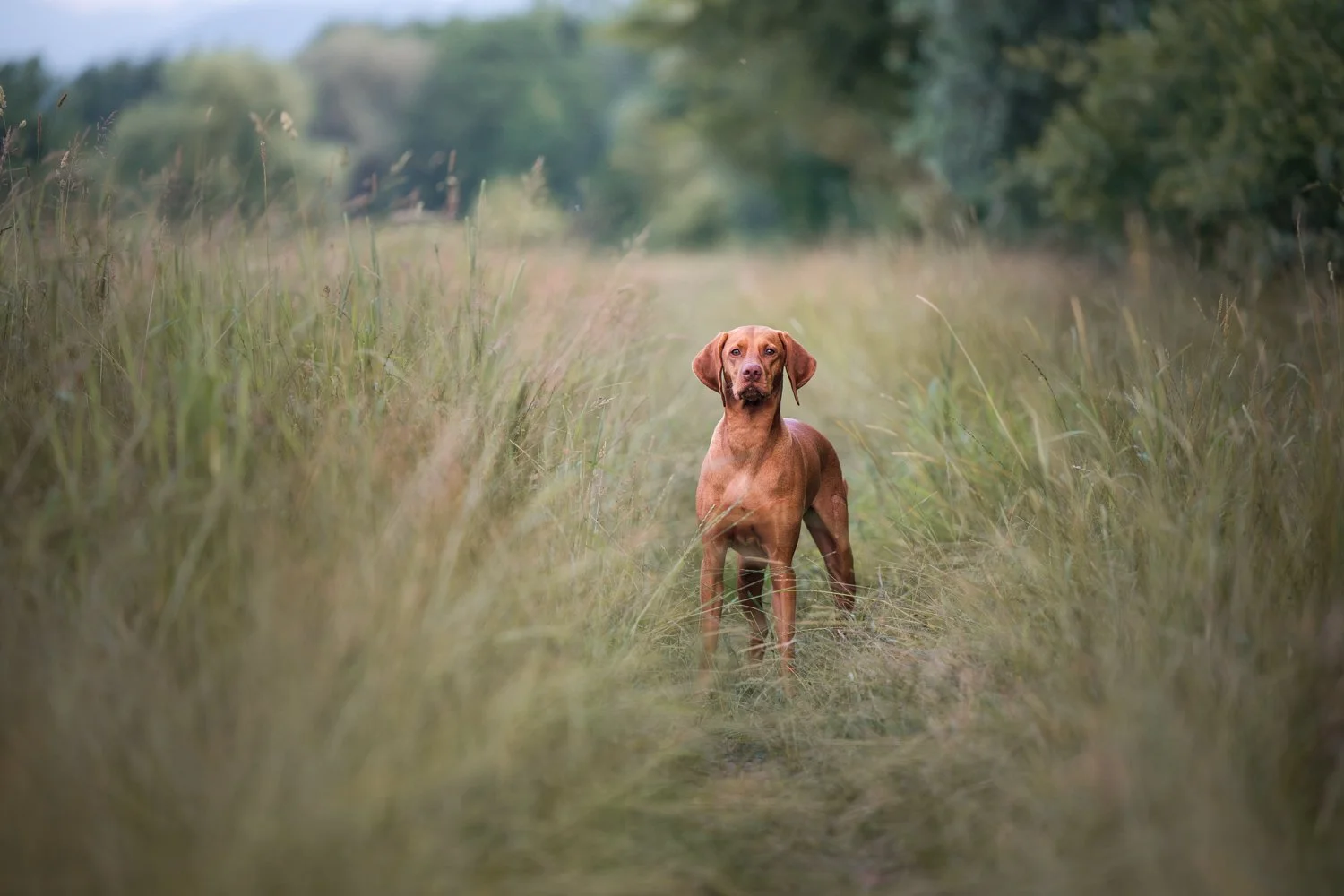 NKP - LR tecaj-7.jpg