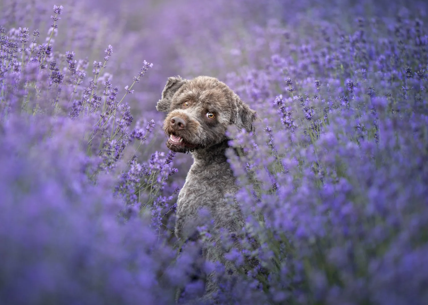 NKP - LR tecaj-2.jpg