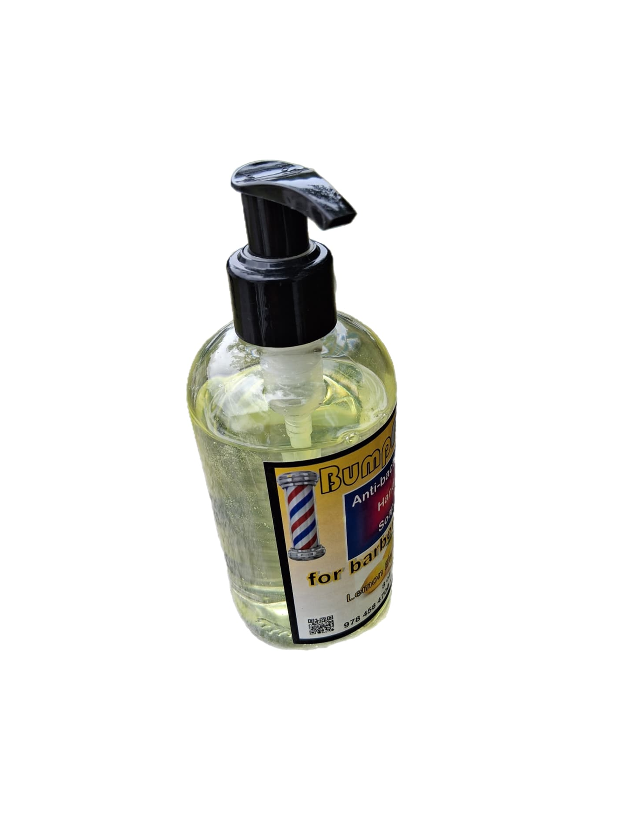 Lemon H S modified for website -- Top.png