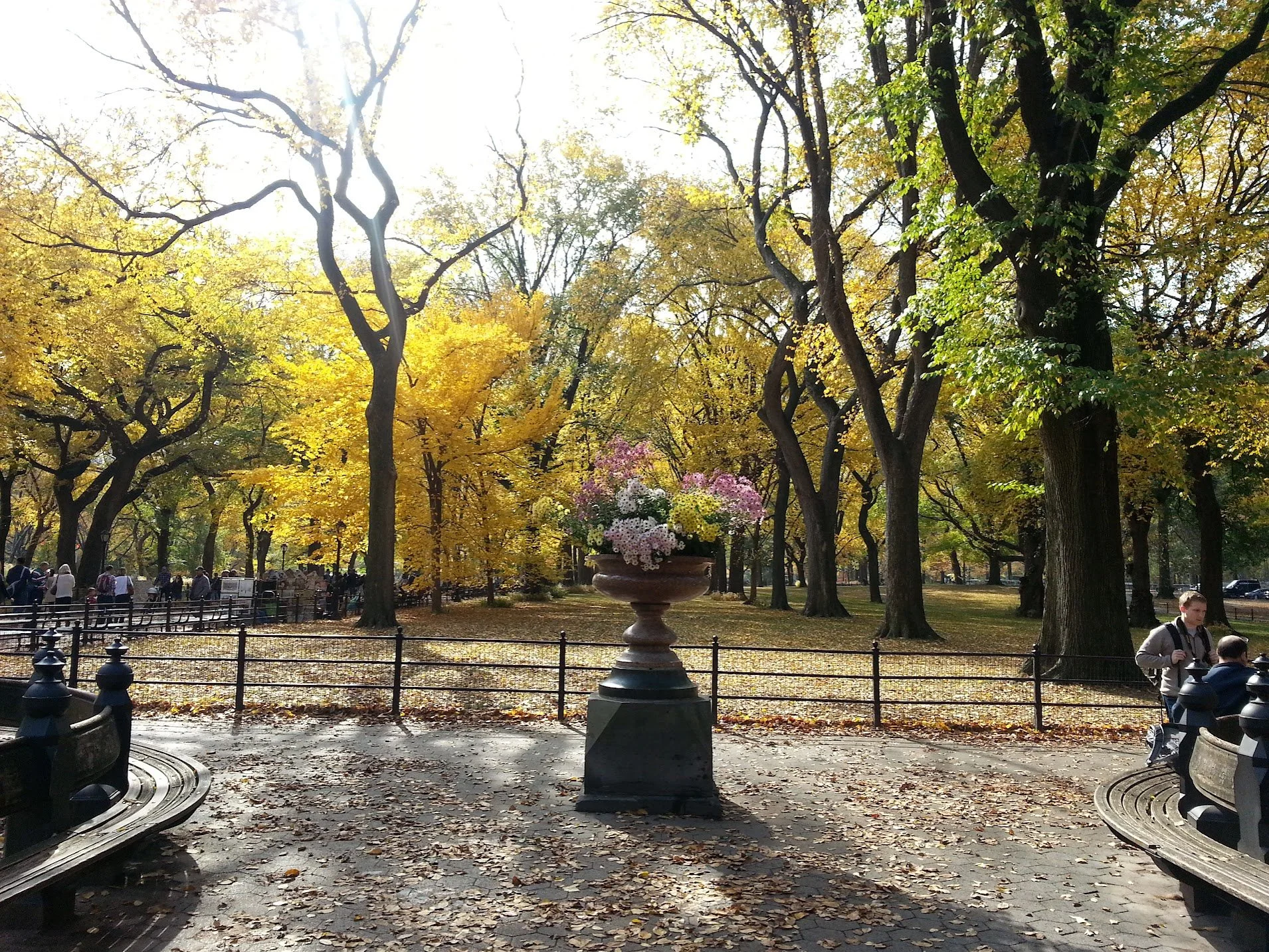 NYC, It’s time to say goodbye  