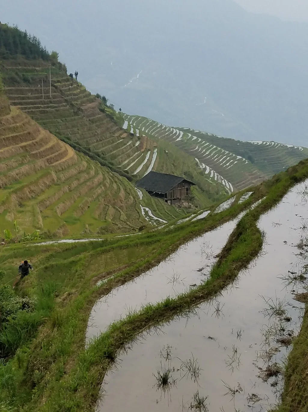China. Thoughts about choices and more..