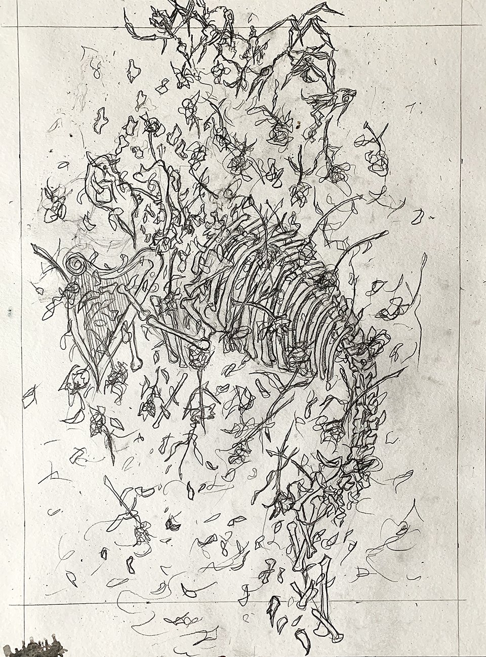 harp_pencil.jpg