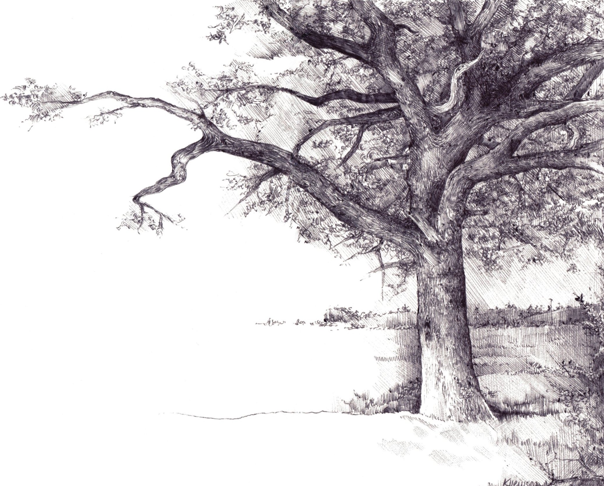 Drawing+scan+2.jpg