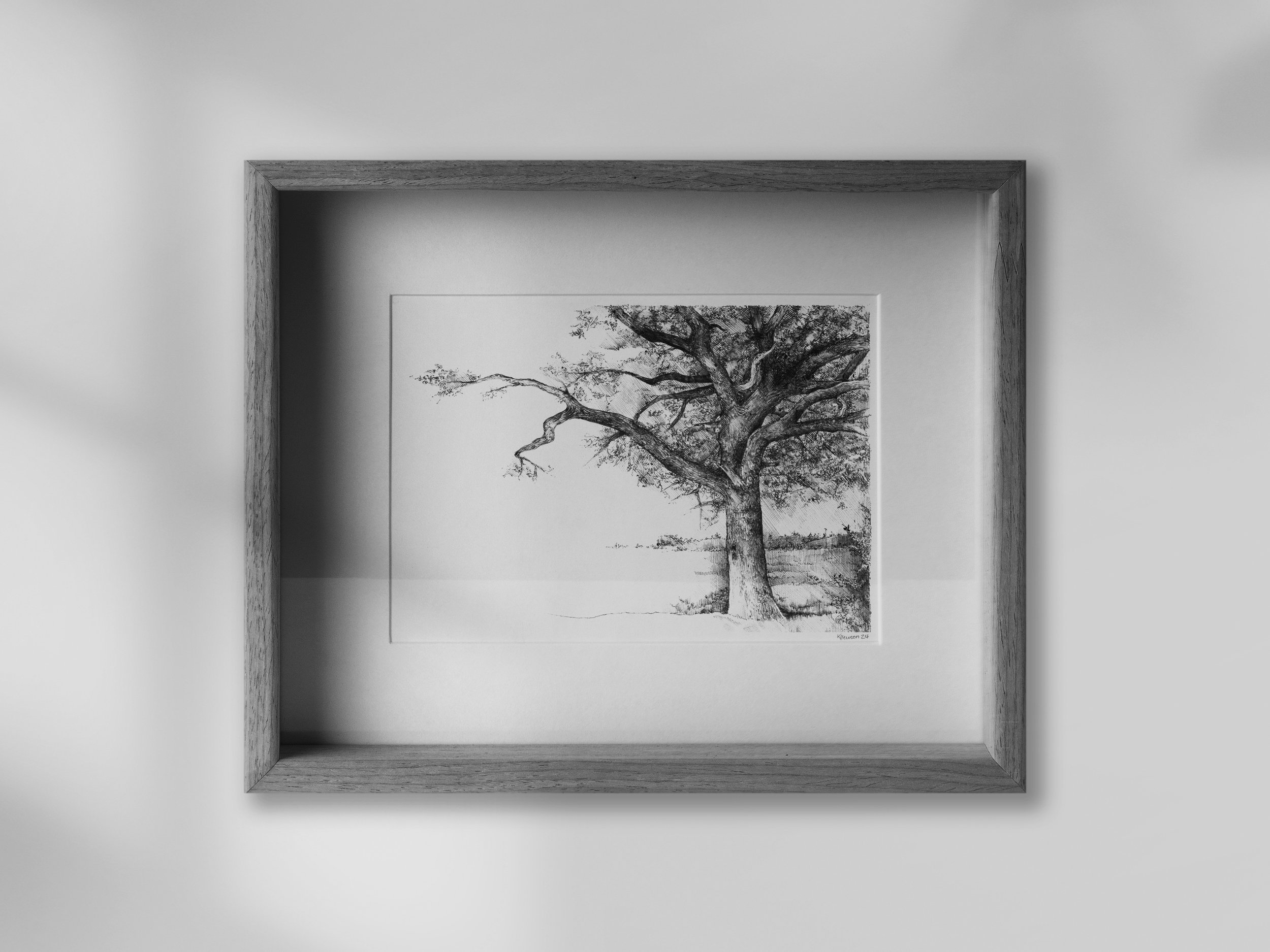 Somerset Oak