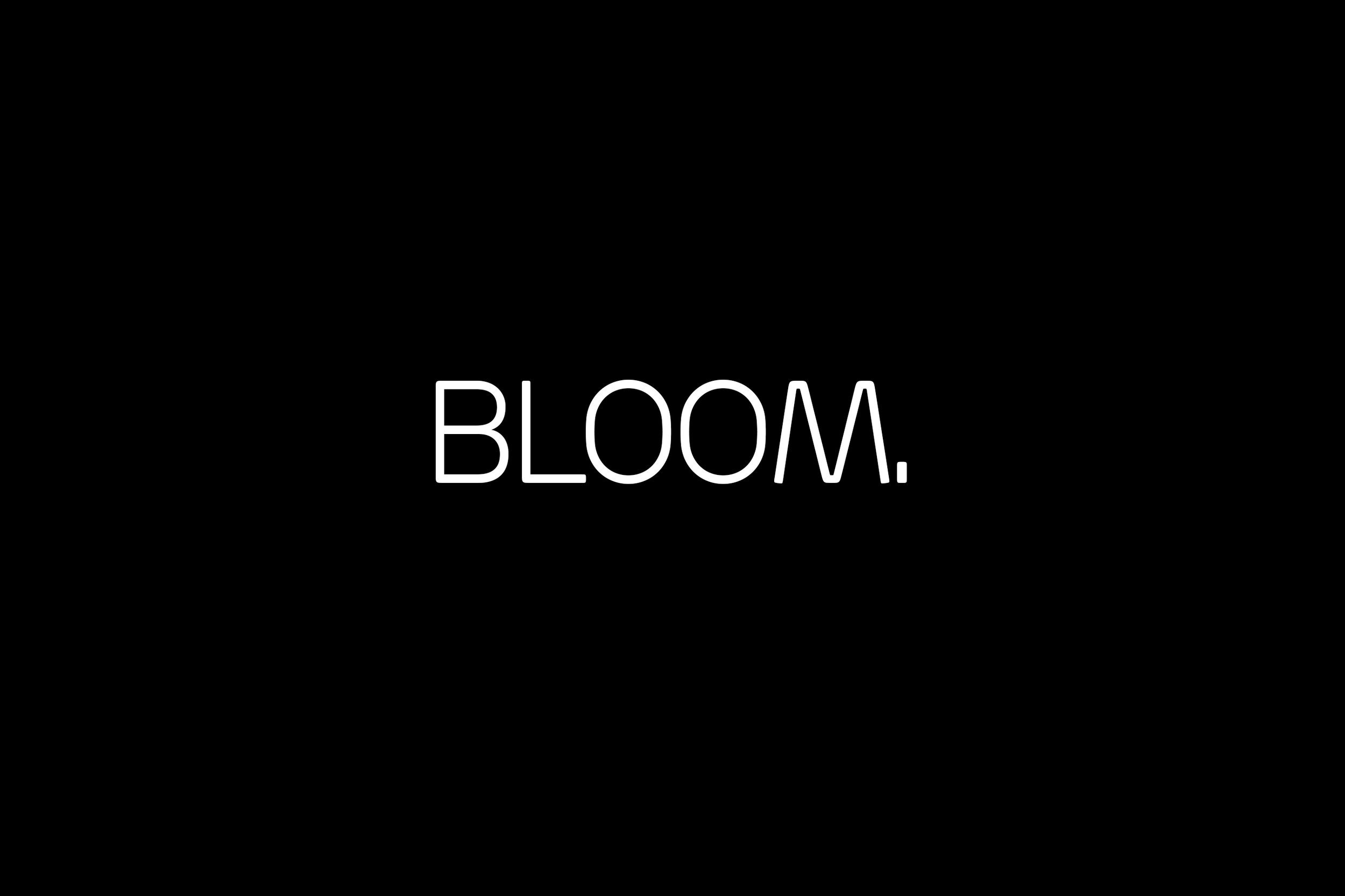 bloom slide_13.jpg