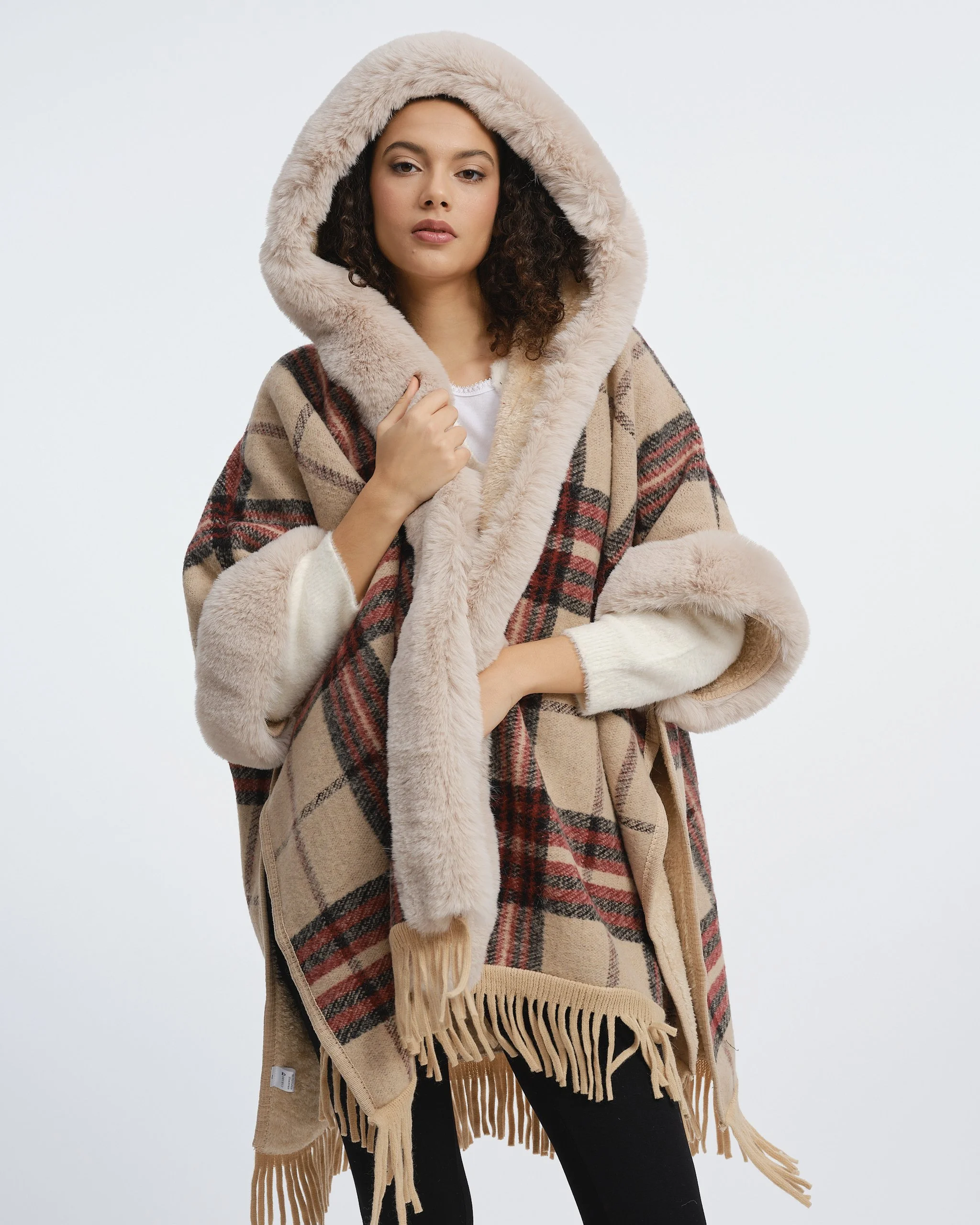 Rossetti AW269063.jpg
