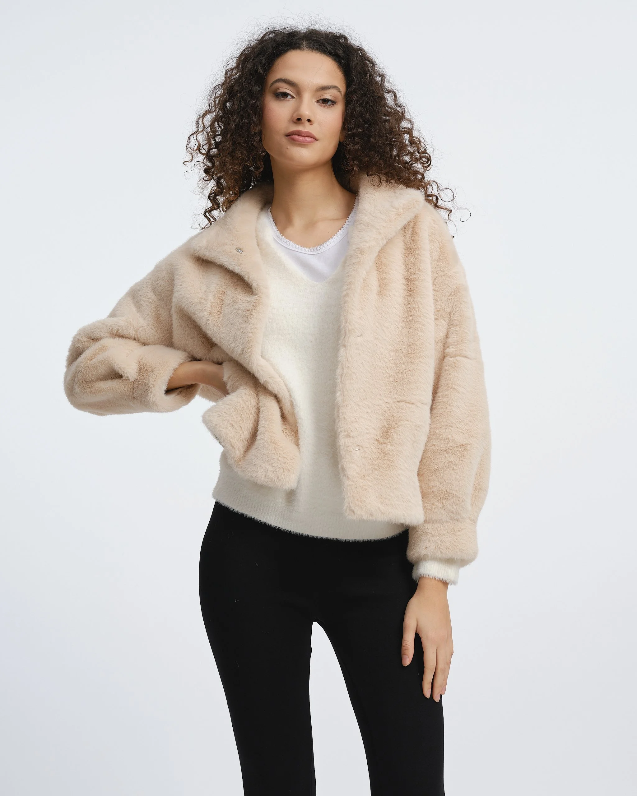 Rossetti AW267590.jpg