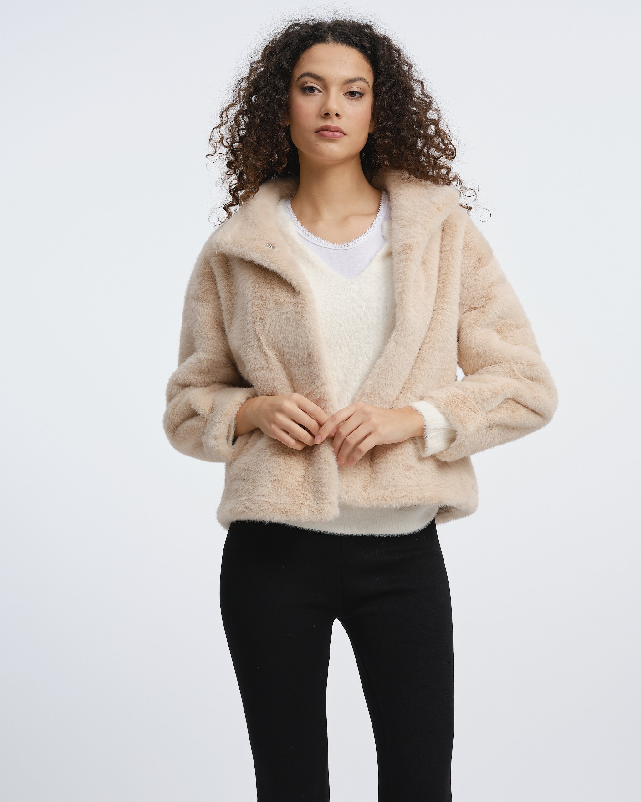 Rossetti AW267583.jpg