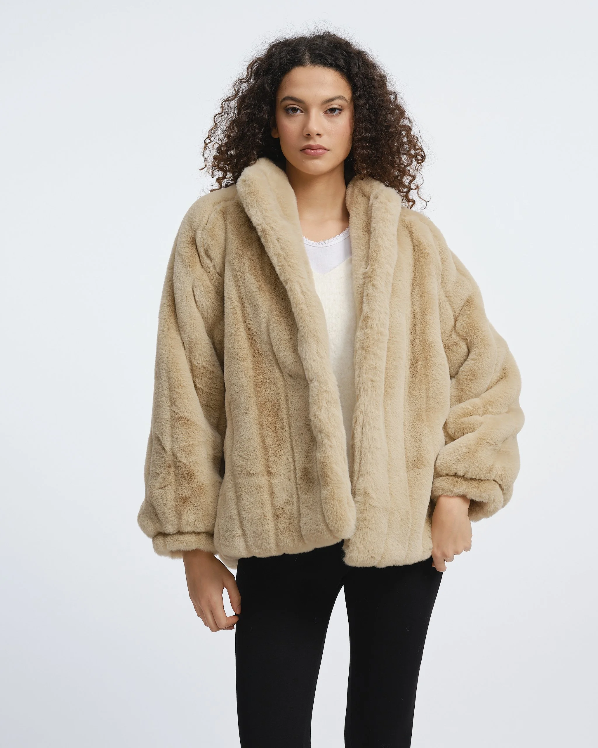 Rossetti AW267616.jpg