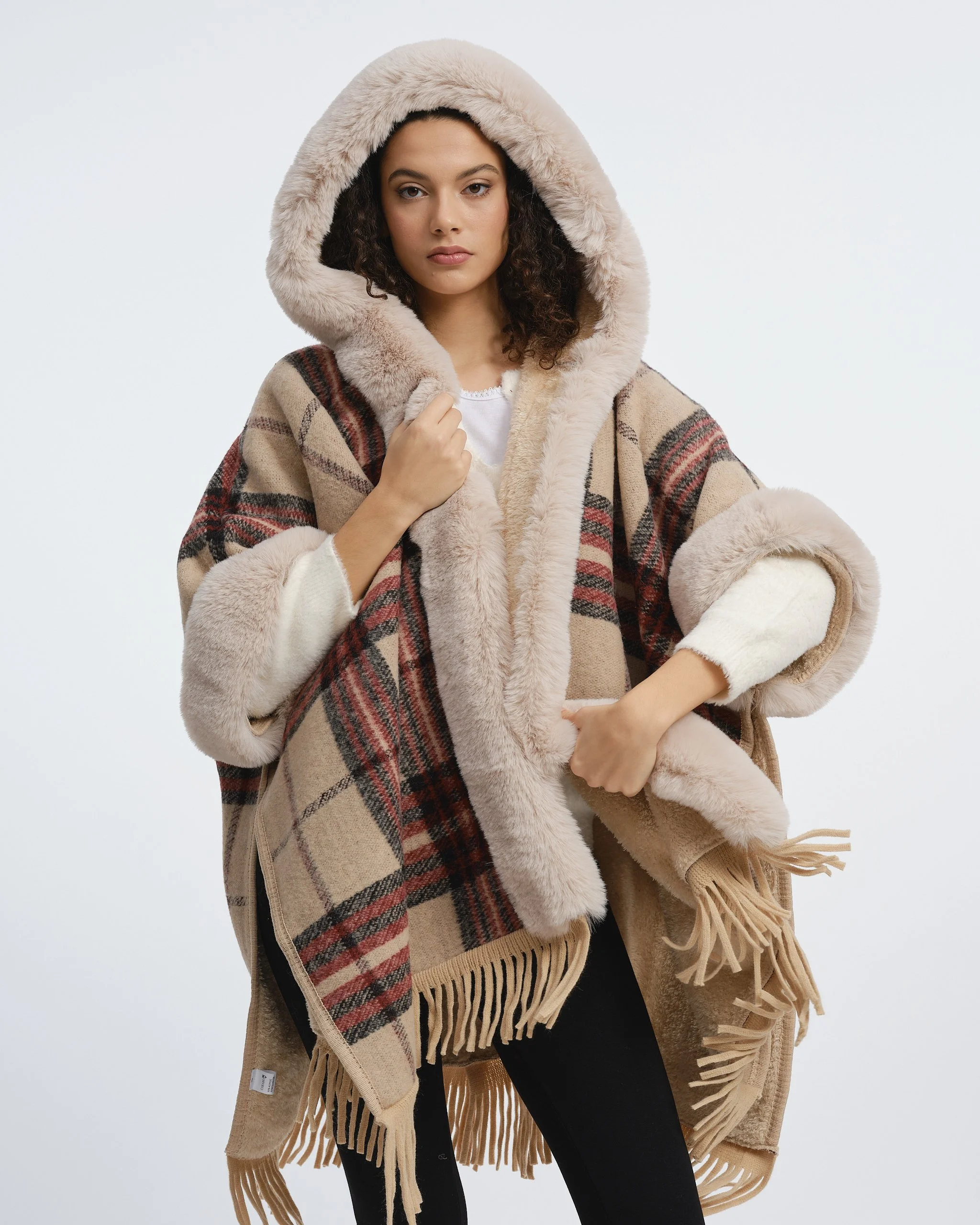 Rossetti AW269062.jpg