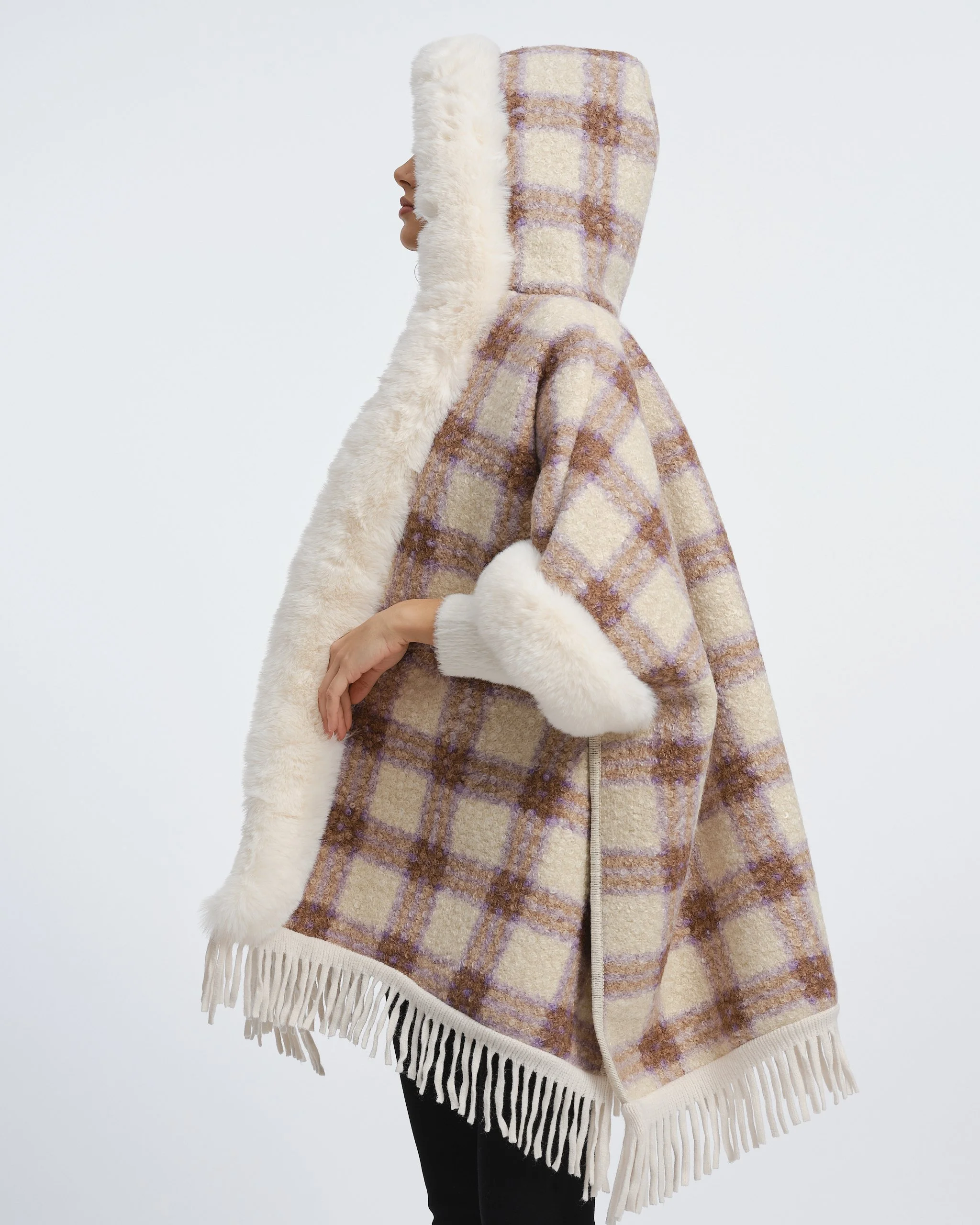 Rossetti AW267716.jpg