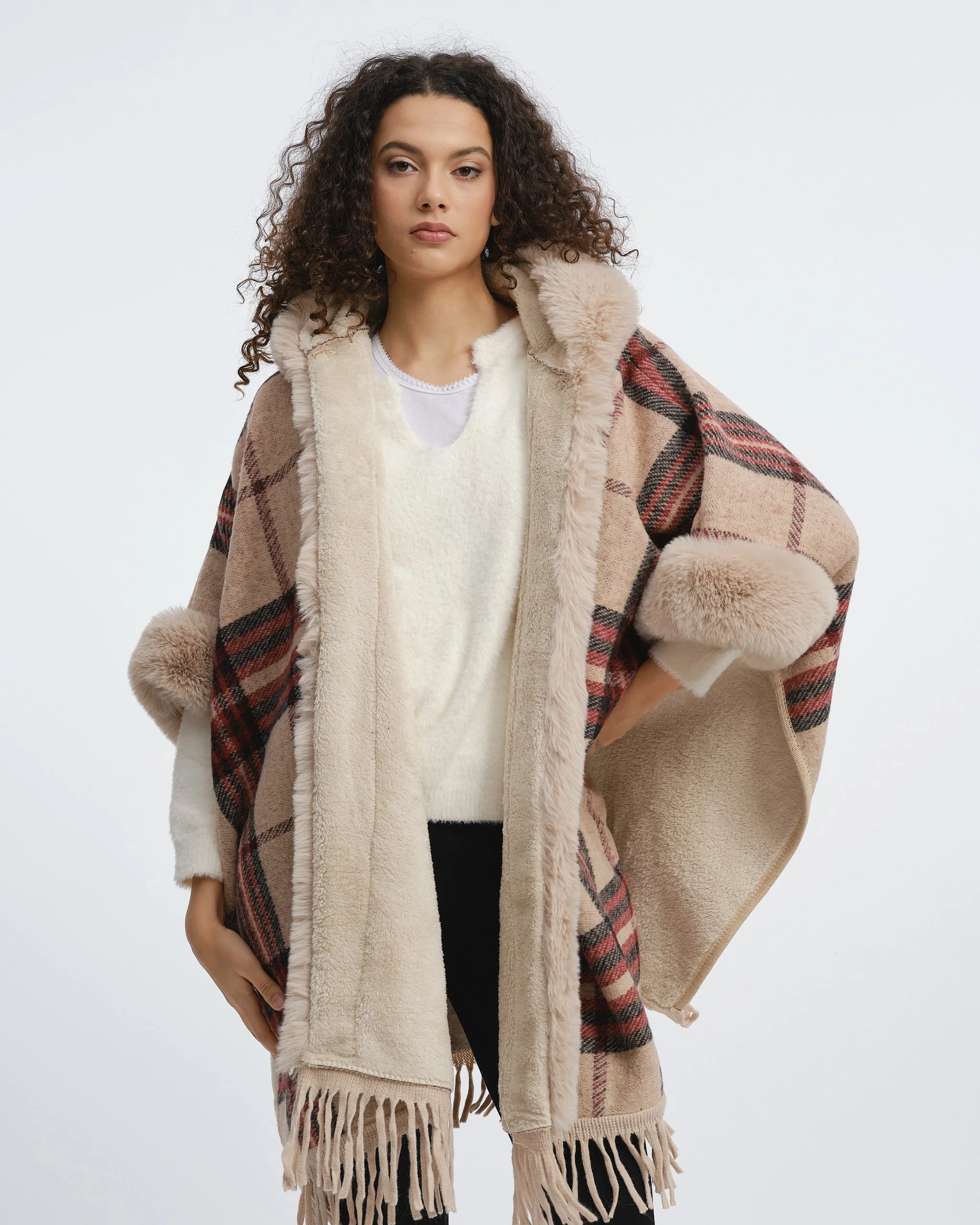 Rossetti AW269166.jpg