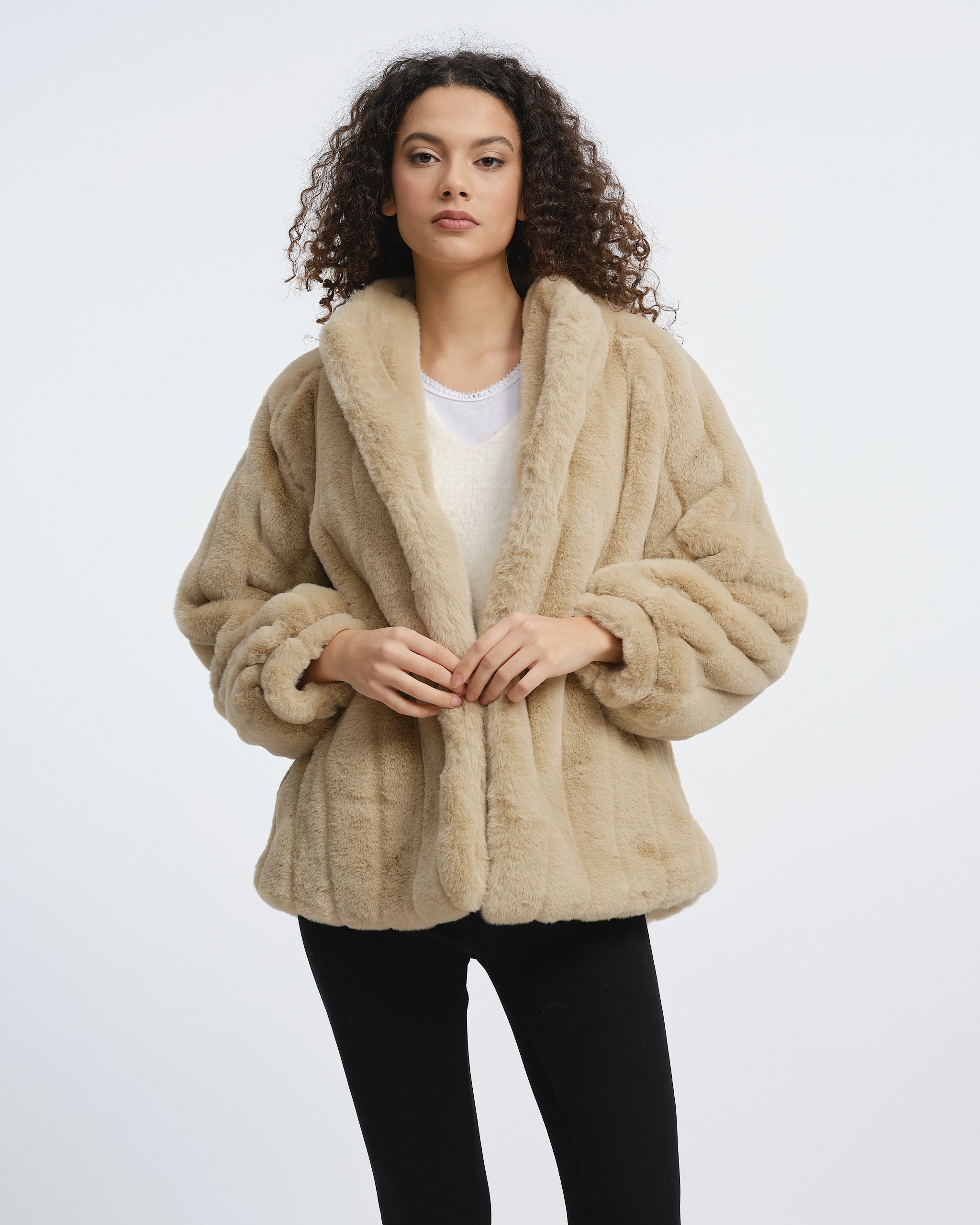 Rossetti AW267612.jpg