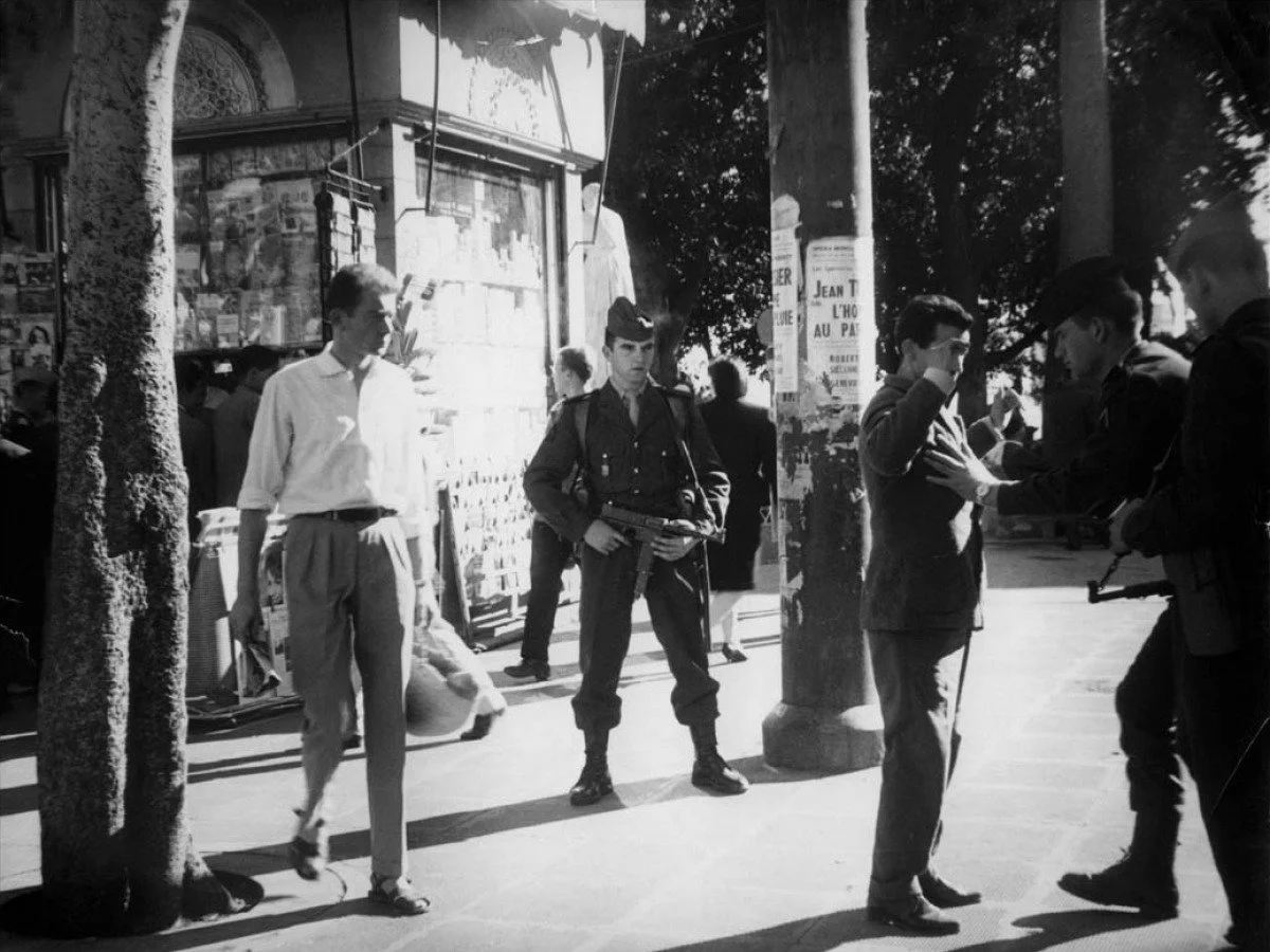 THE OLIVE TREES OF JUSTICE