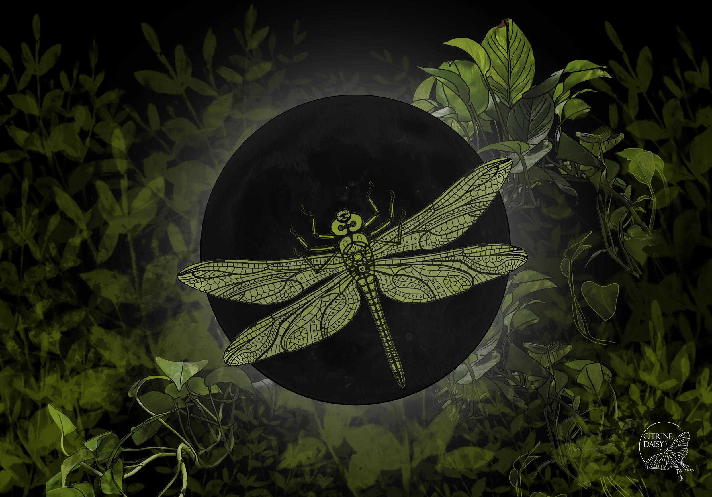 1. Dragonfly New Moon Green Plants.jpg