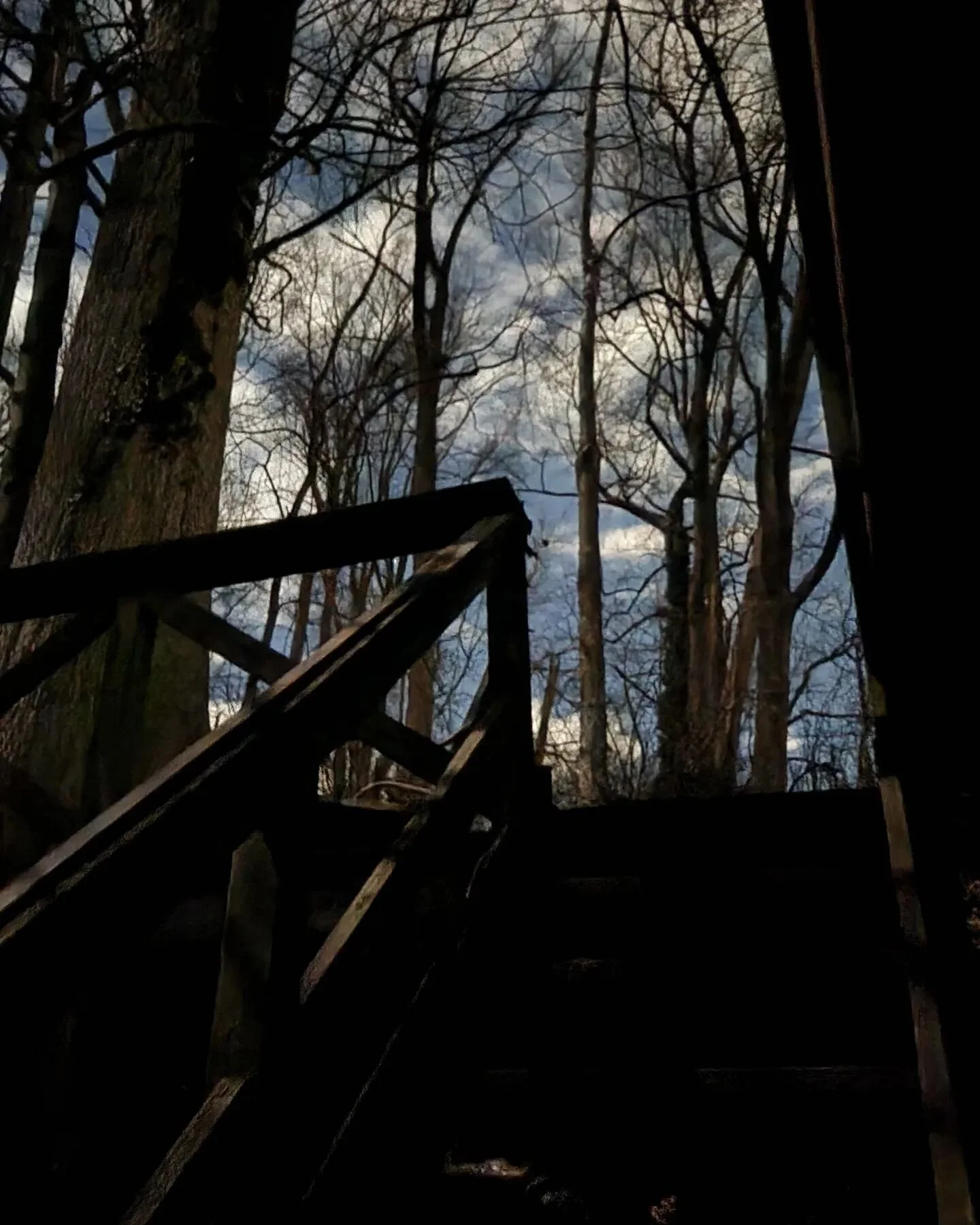 I did yoga on my roof under the full moon... I never in a million years thought I'd be able to say that ✧ whenever I remember to, I practice saying &quot;thank you&quot; for every moment of every day, every challenge and every blessing, every health 