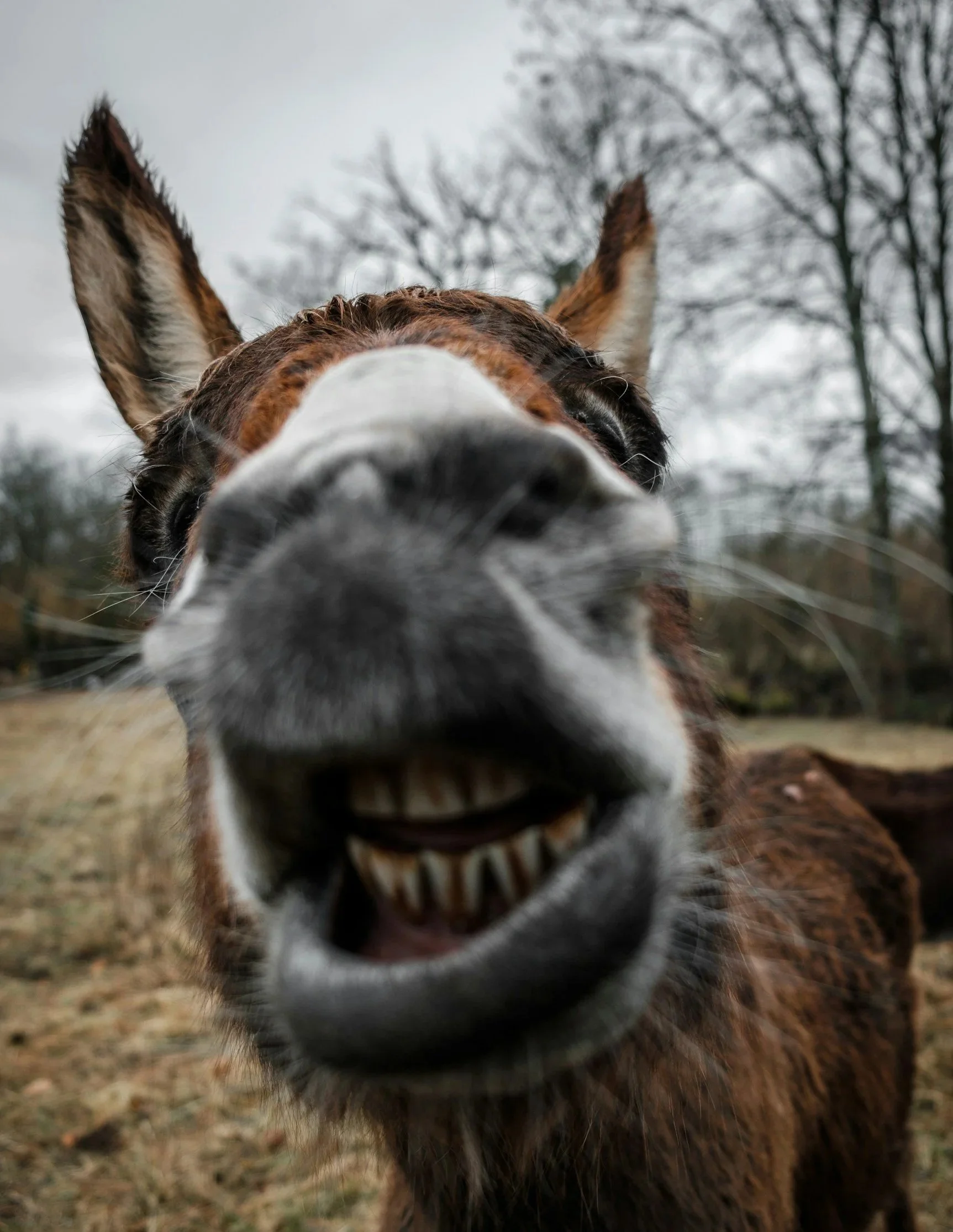 What Goes Around, Comes Around