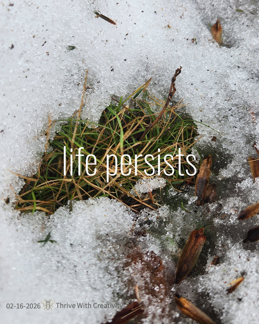 Life Persists