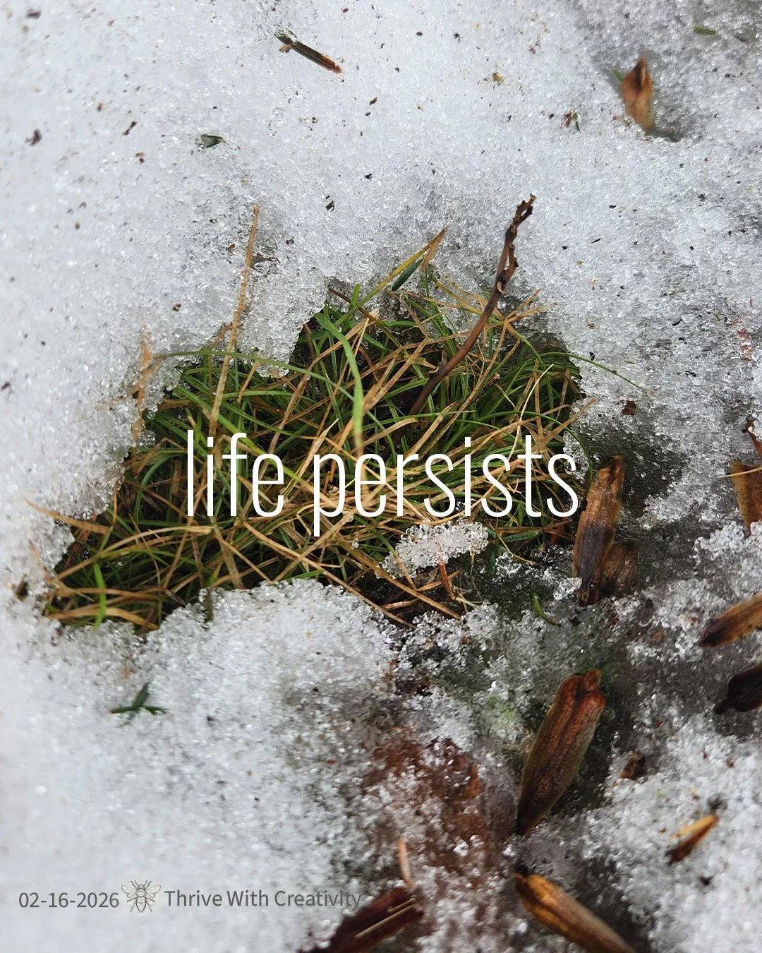 02-16-2026 life persists ◇ thrive with creativity 1.jpg