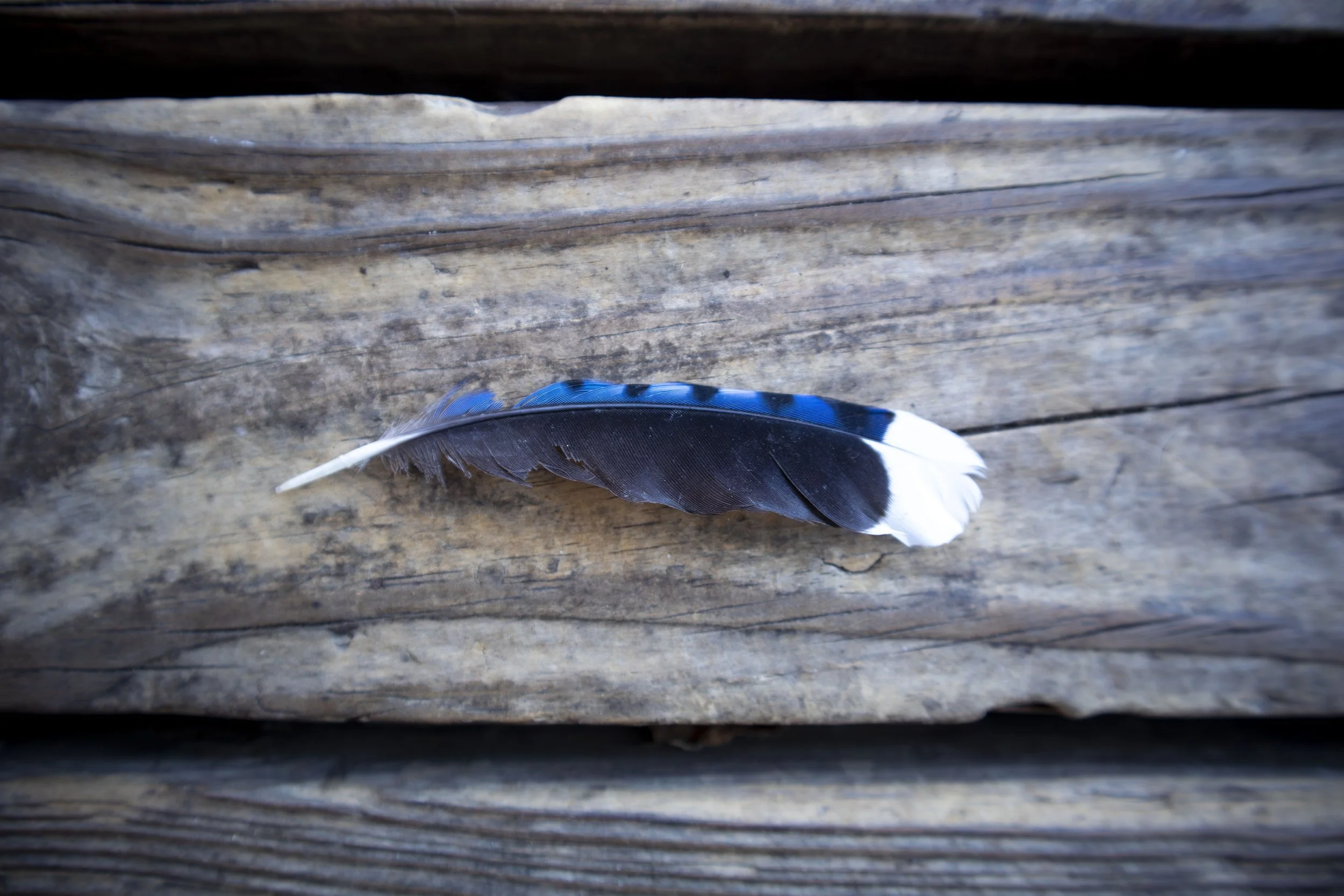 Meet The Artist: Chrissi Kino