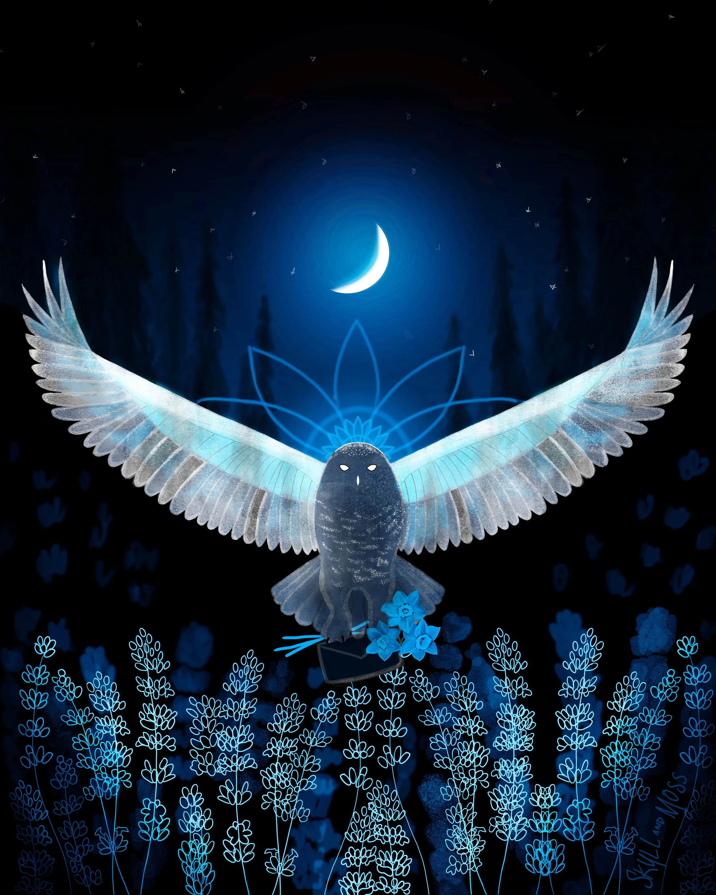2. Owl cyan 2.jpg