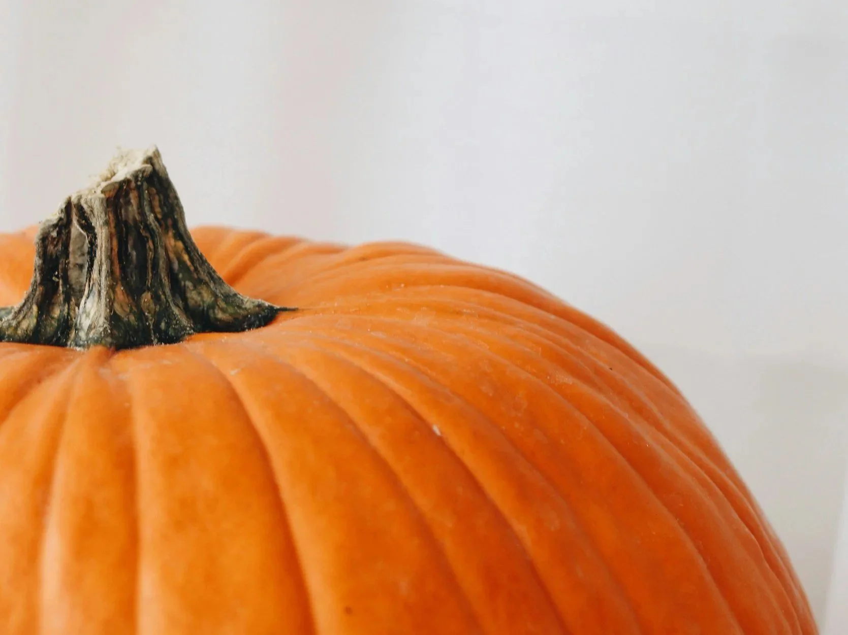 Pumpkin Decoration Contest