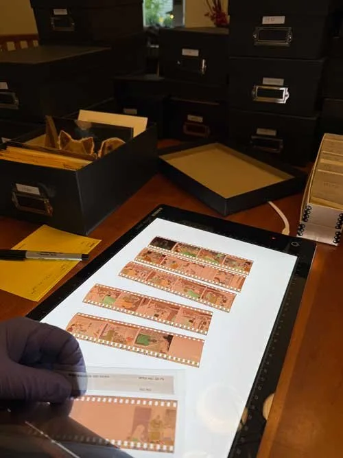 Sorting Negatives: A Key Step in Organizing Your Photo Legacy