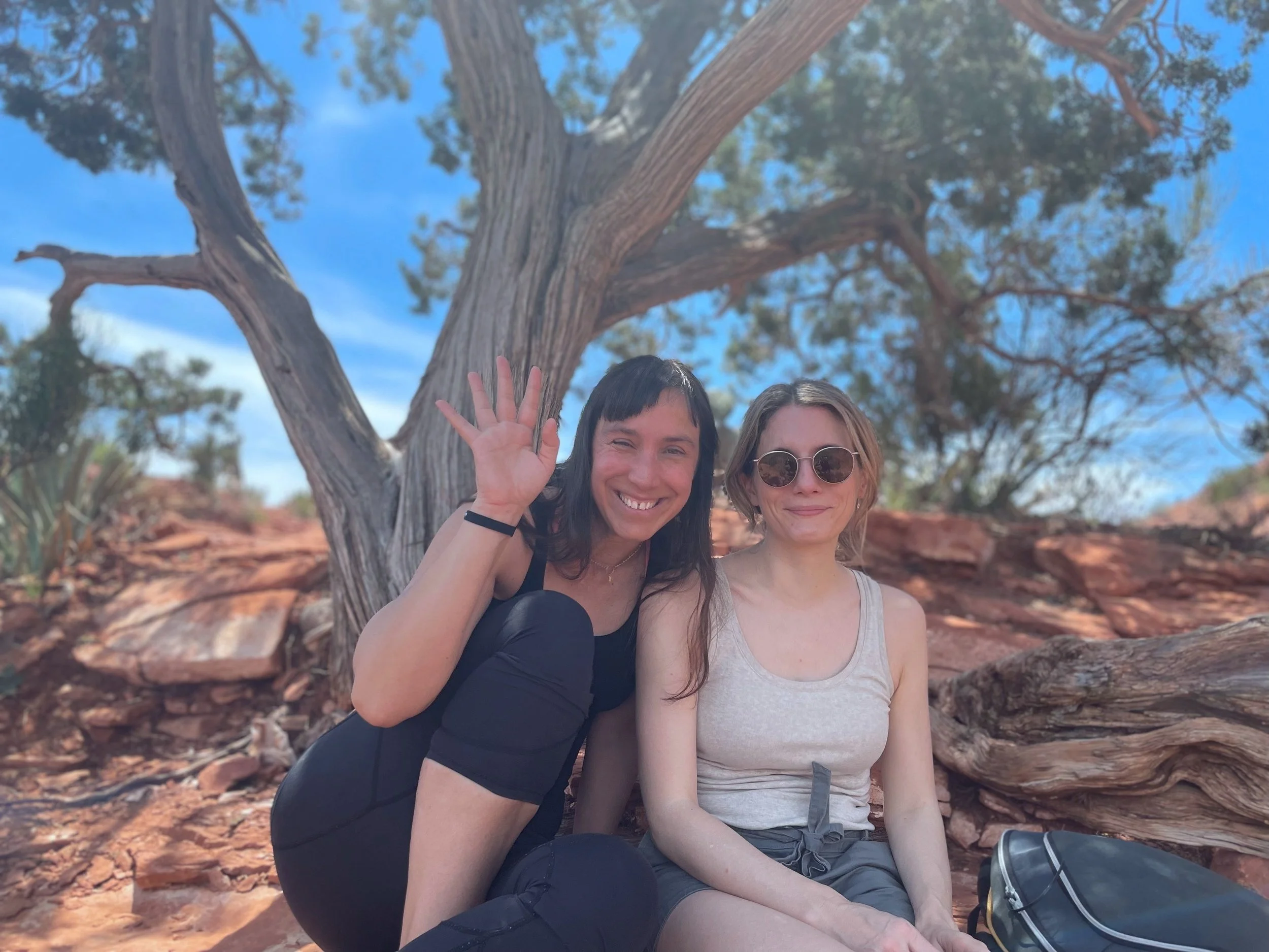 Les résultats du projet Couples Parentaux en Arizona !