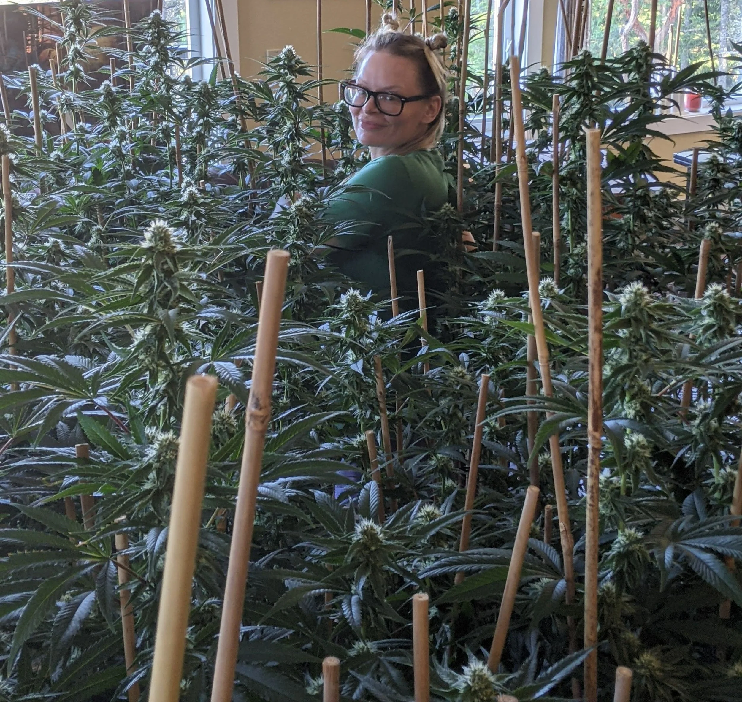 SWTP | Cannabis Cultivation Consultant & Educator