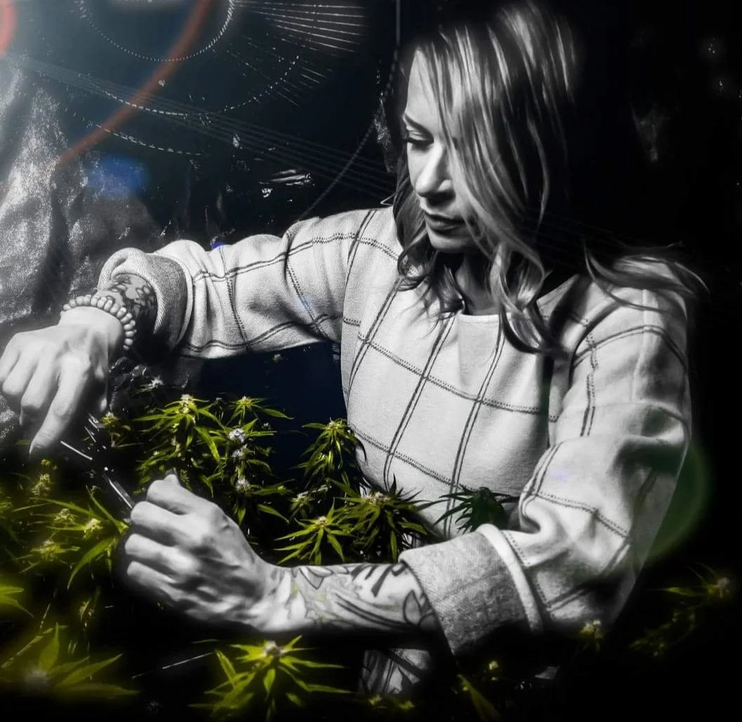 SWTP | Cannabis Cultivation Consultant & Educator