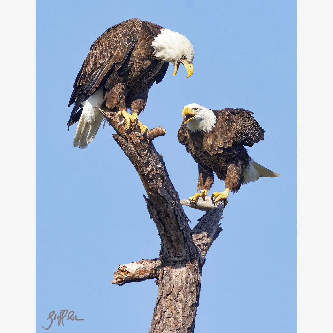 4143-Pillow Talk_D7A5232 WEB.jpg