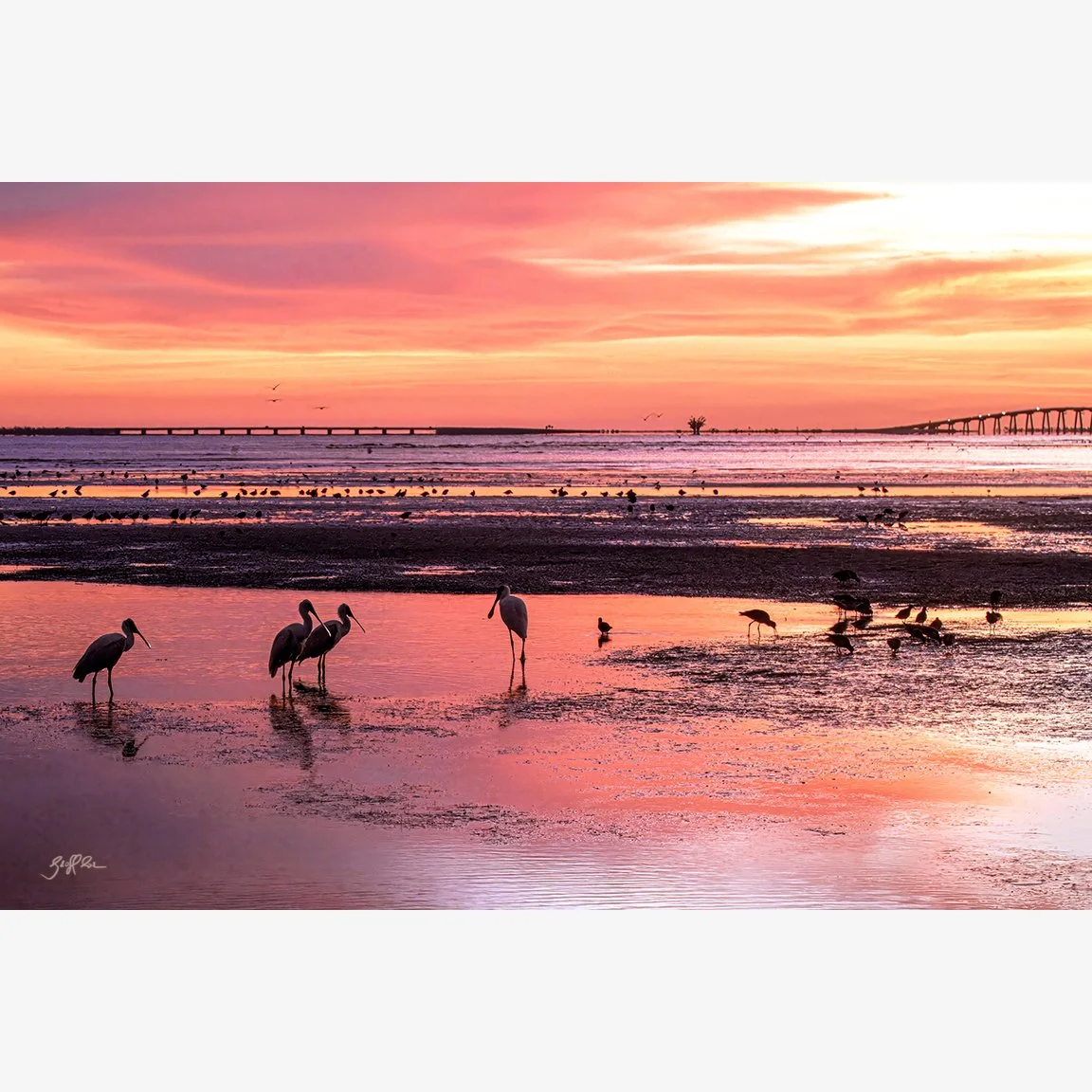 4219-SunsetWatchers-CANVY.jpg