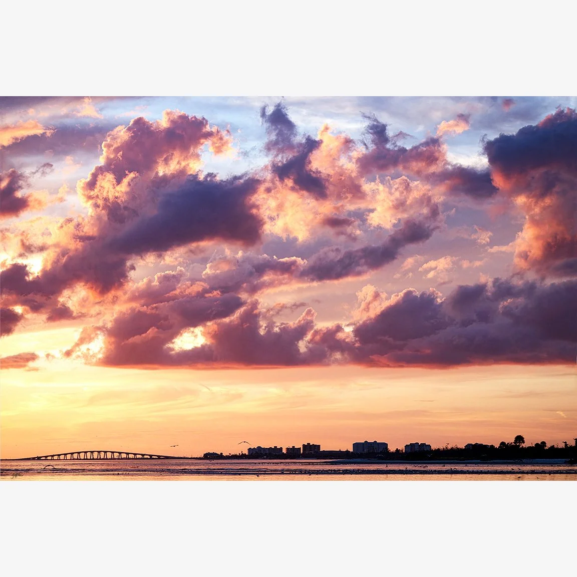 4136-Punta Rassa Skyline_D7A7158.jpg