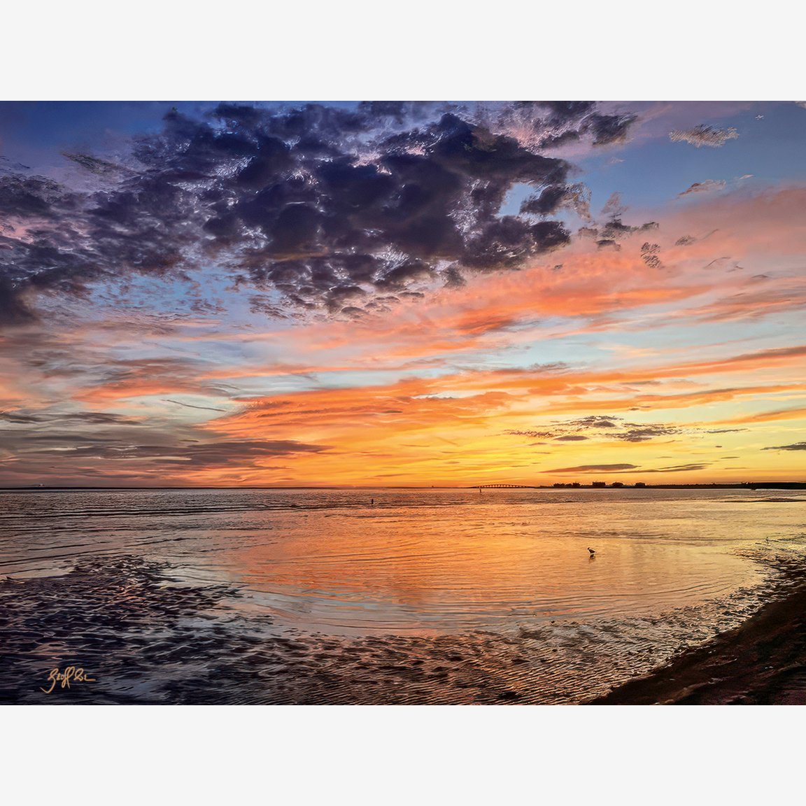 4121-Summer Spectacle