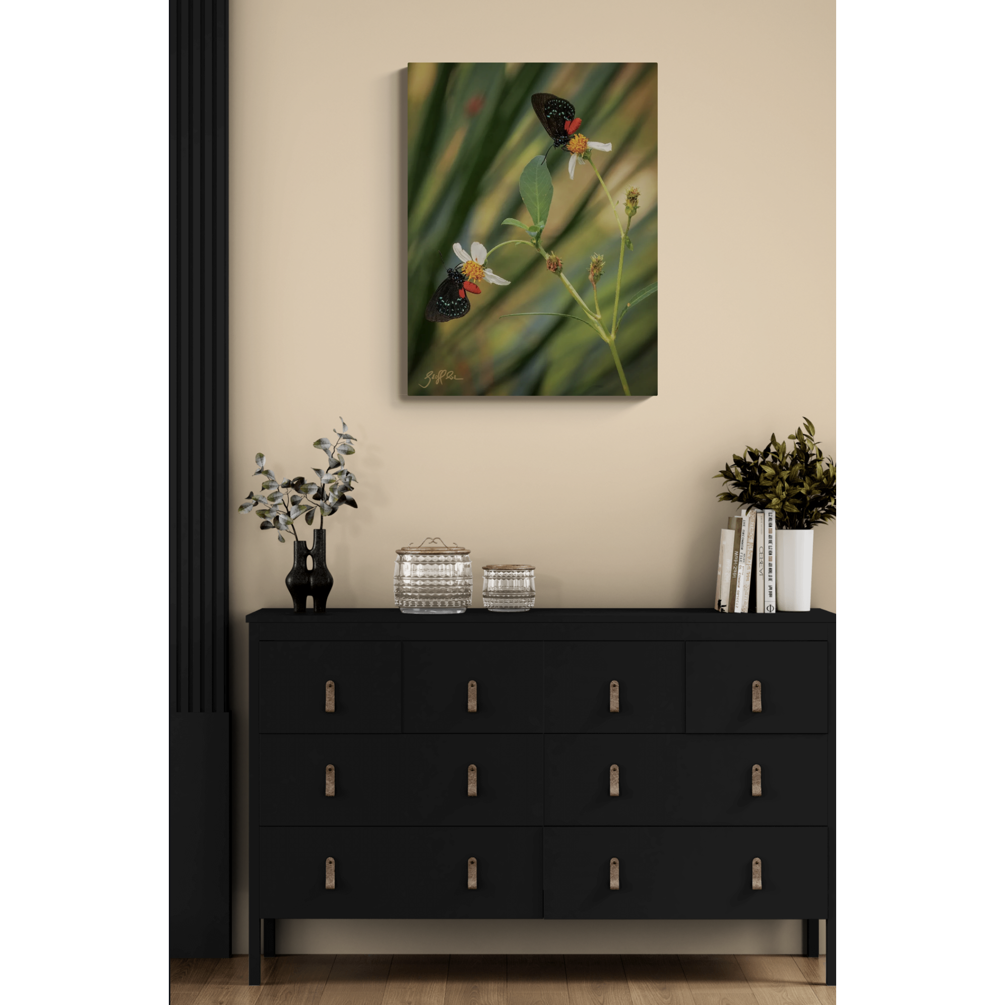 4216-Atala Butterfly-CANVY.png
