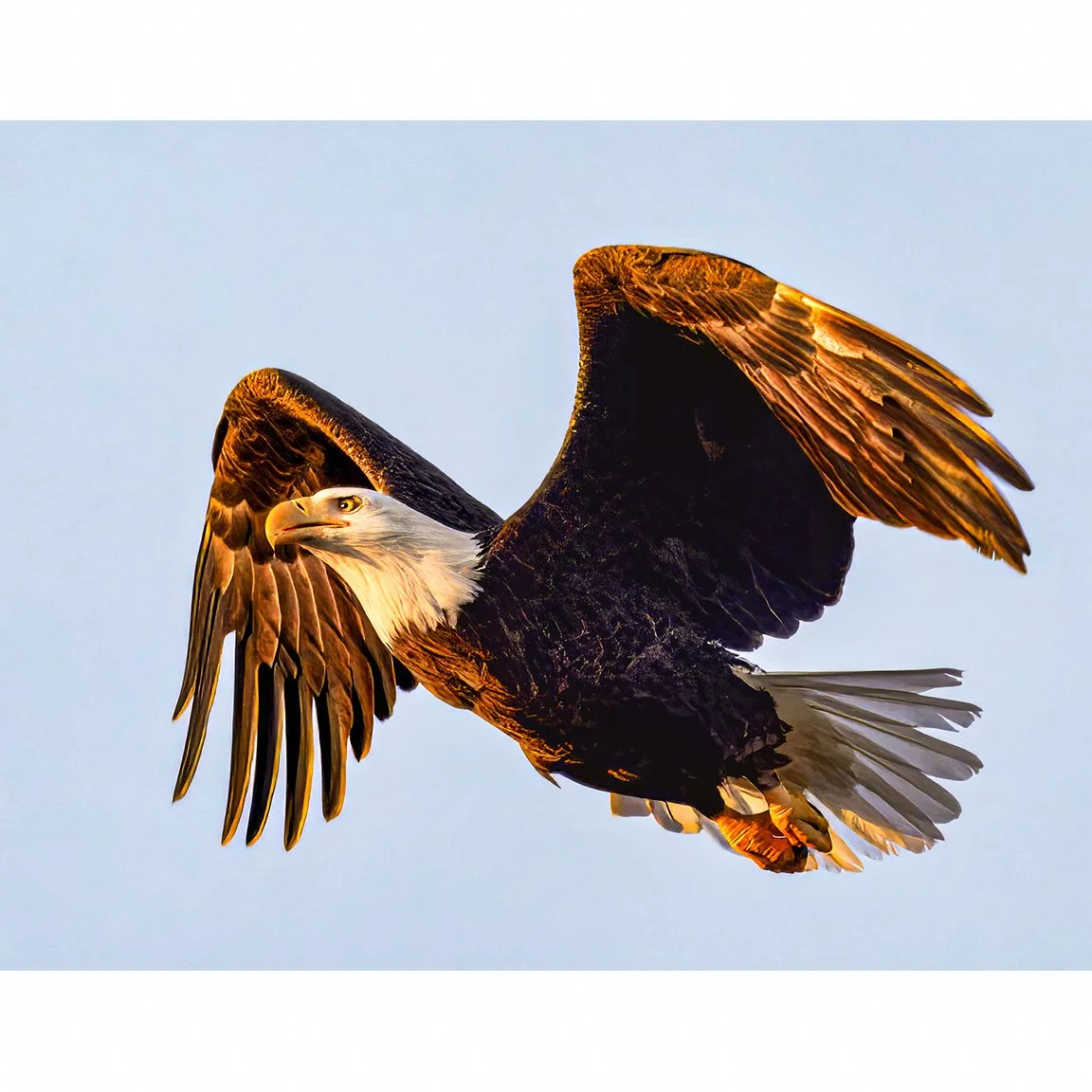 4145-Up and Away-website.jpg