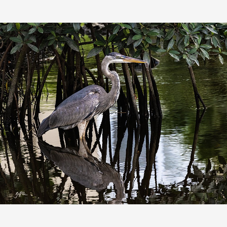2907-Still Waters_WEB.jpg