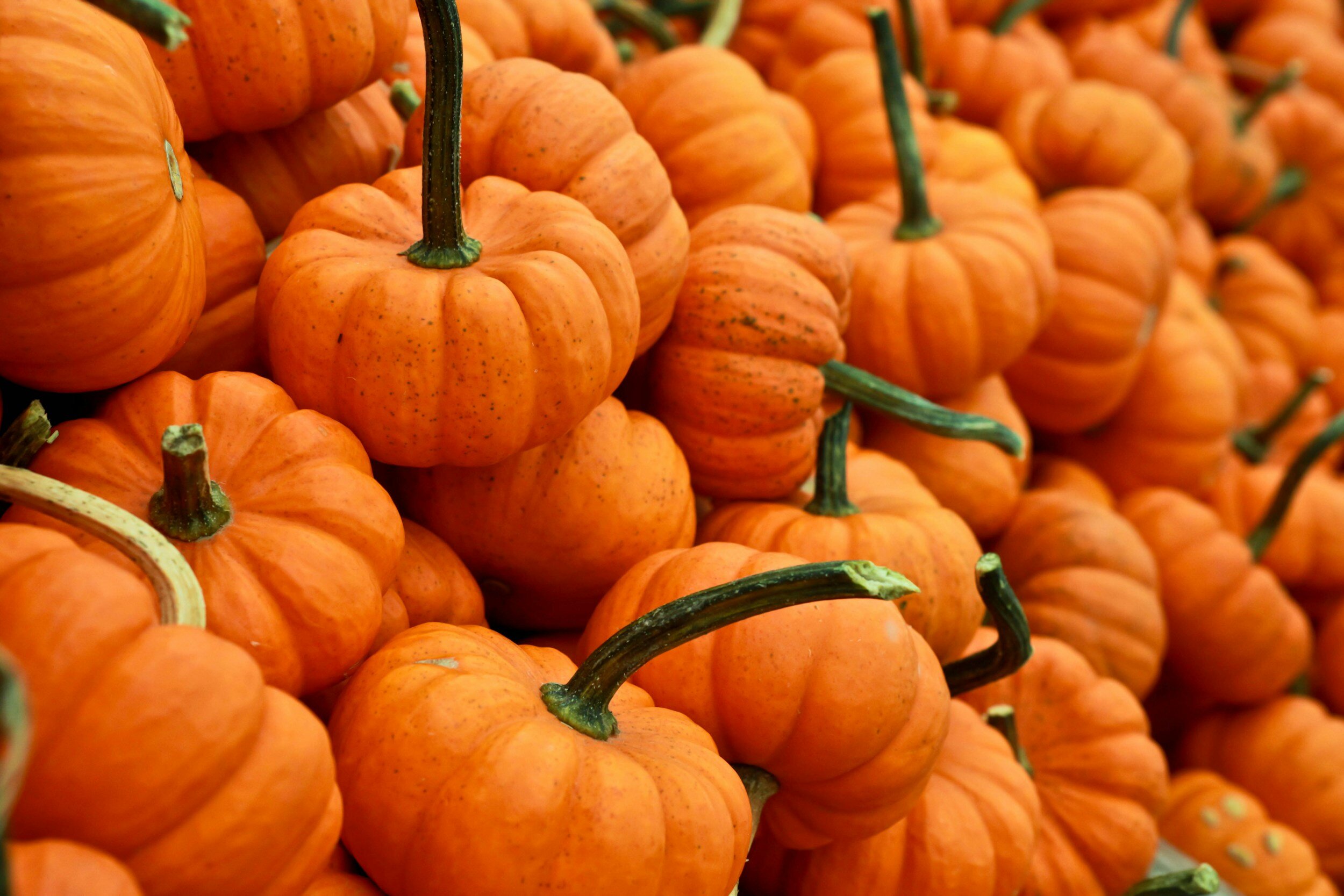 Spooktacular Tips for Parents this Halloween