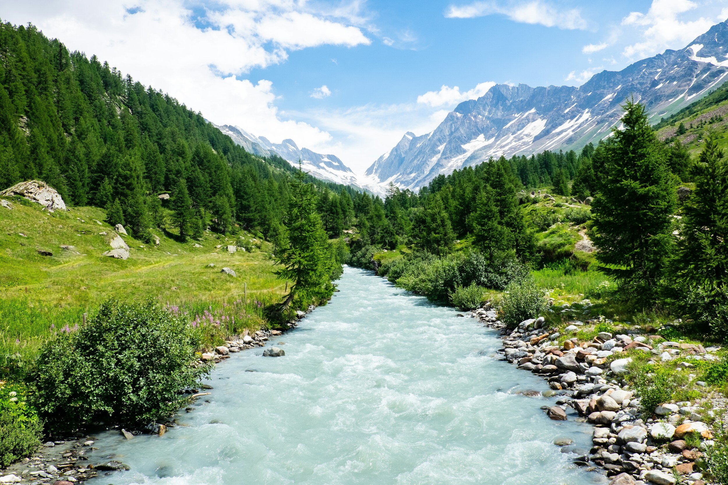 The Hurried Child: Are you willing to swim upstream?