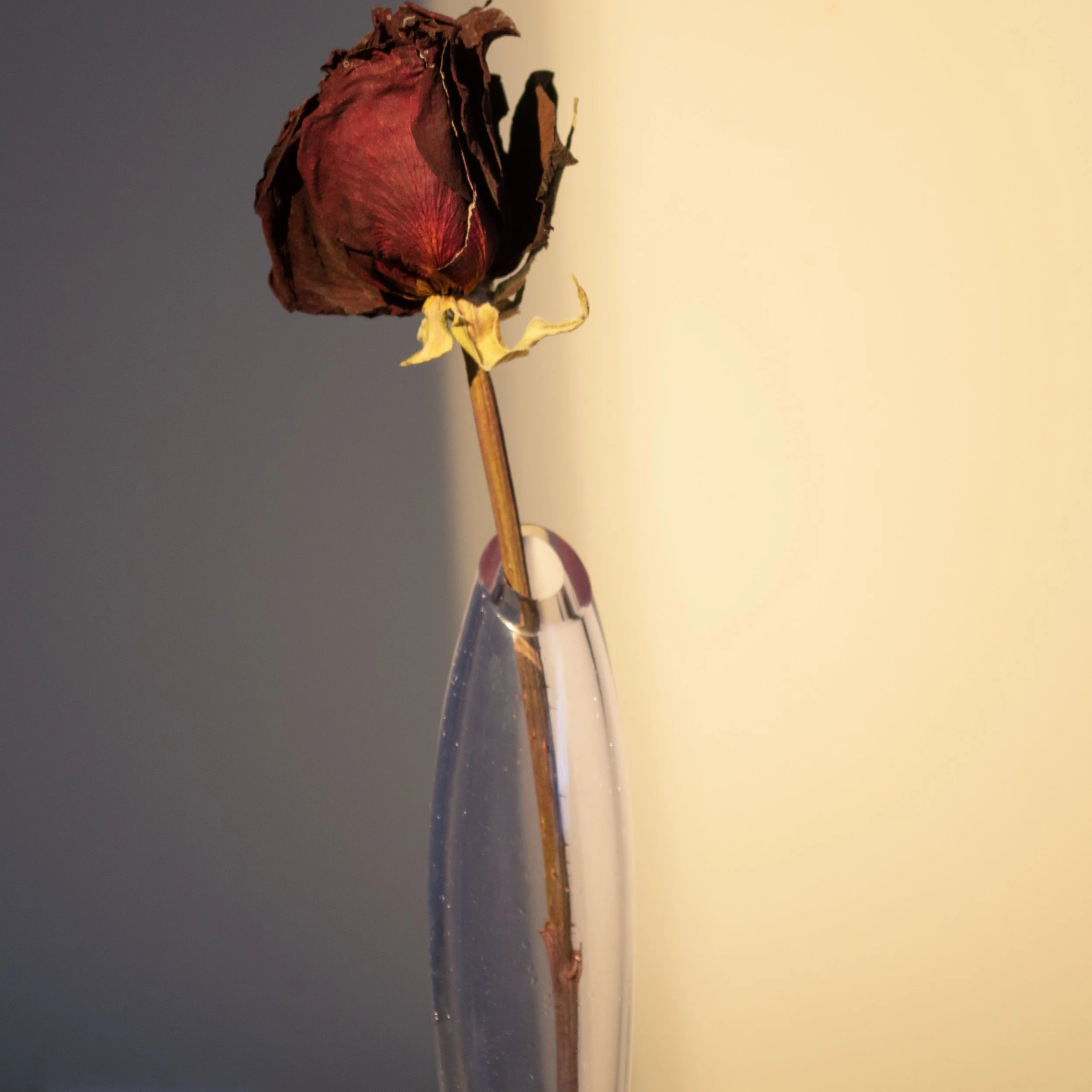 DSC_0783.jpg