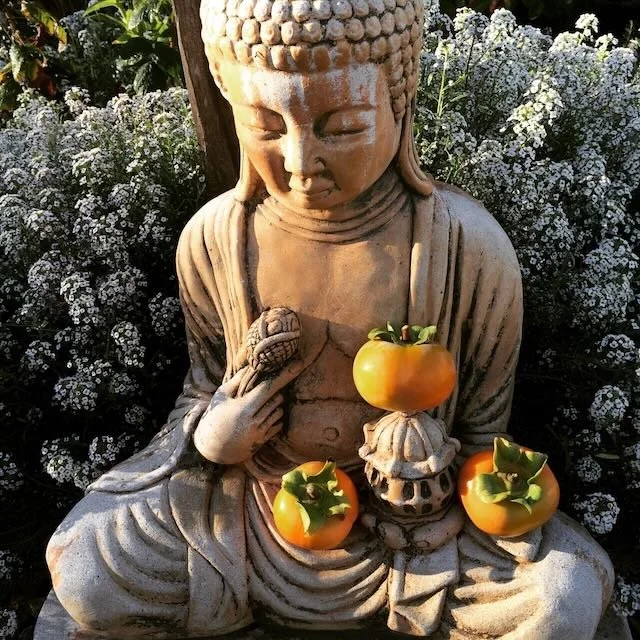 Mayacamas Ranch Yoga Retreat 2013