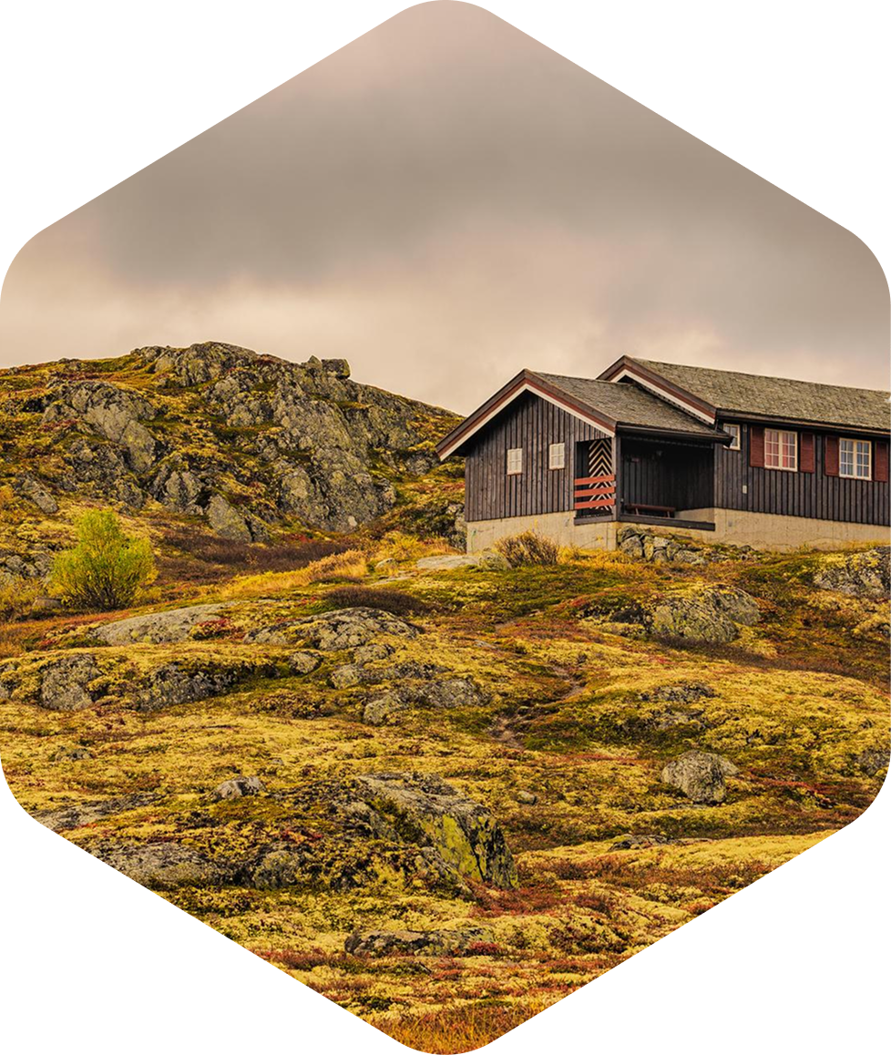 Et fjellandskap med en mørk trebølelse på en skråbakke under en overskyet himmel.